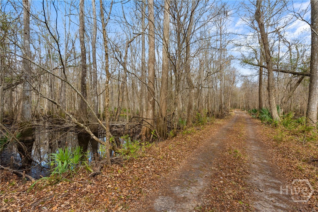1000 Old River Road S, Brooklet, GA, 30415
