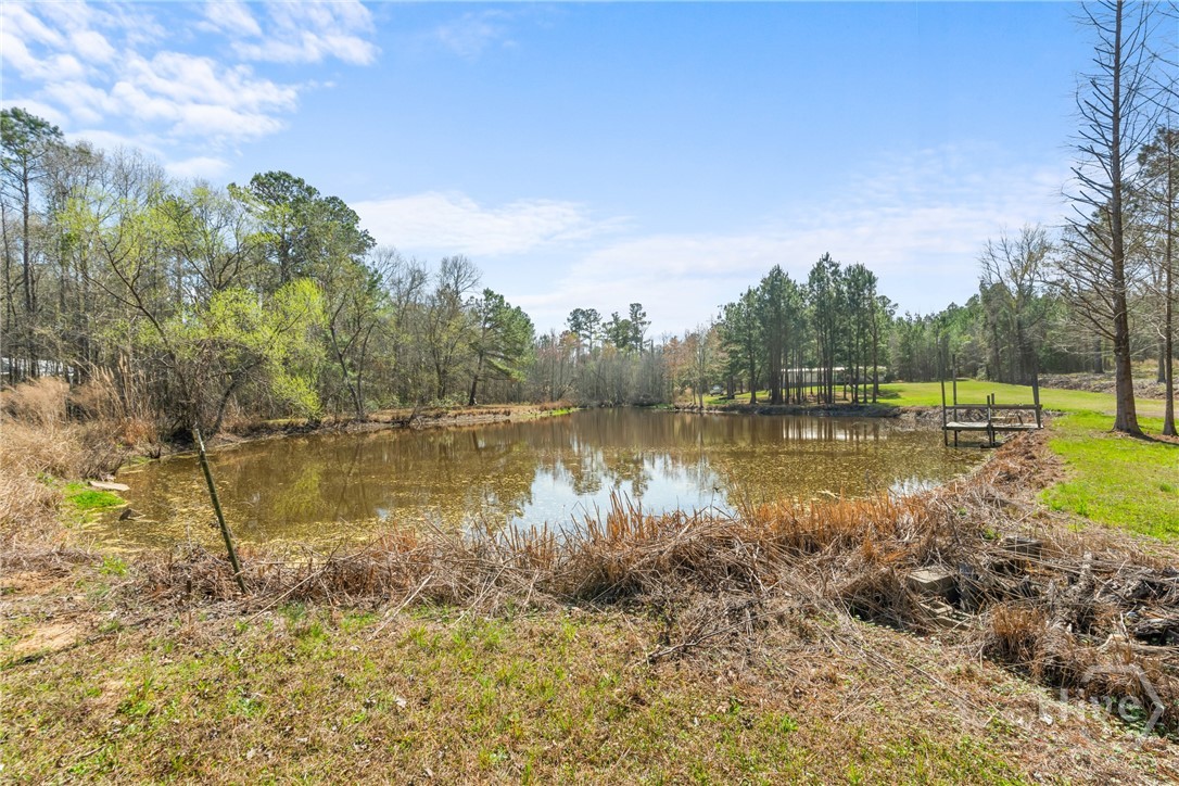 3127 Buttermilk, Sylvania, GA, 30467