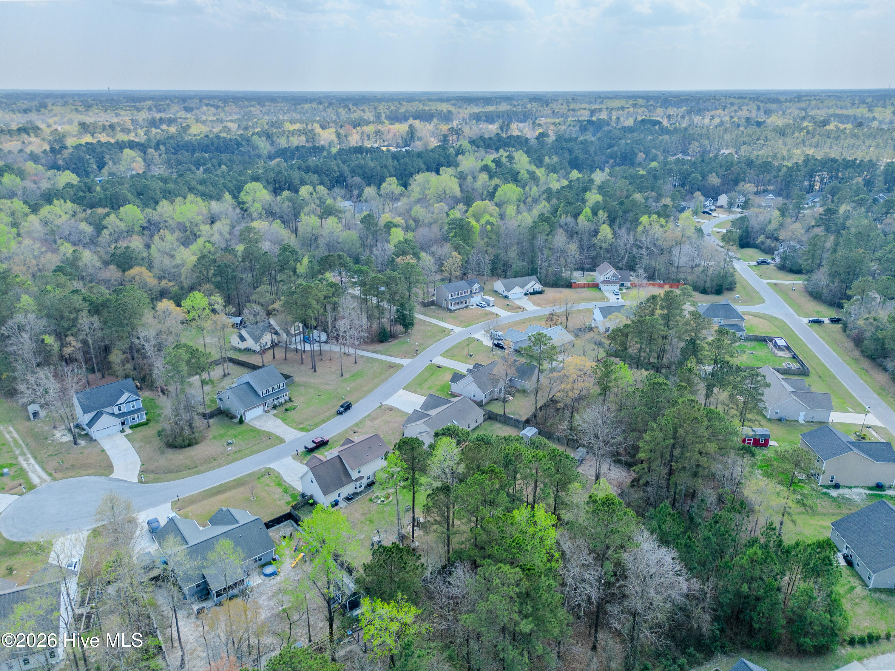 100563083 | Photo 61