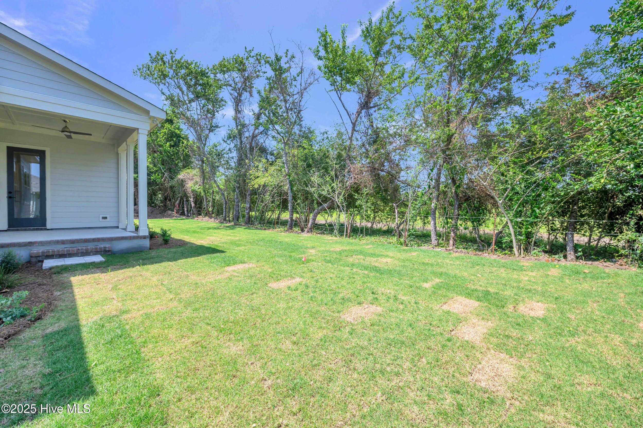 100542889 | Photo 41