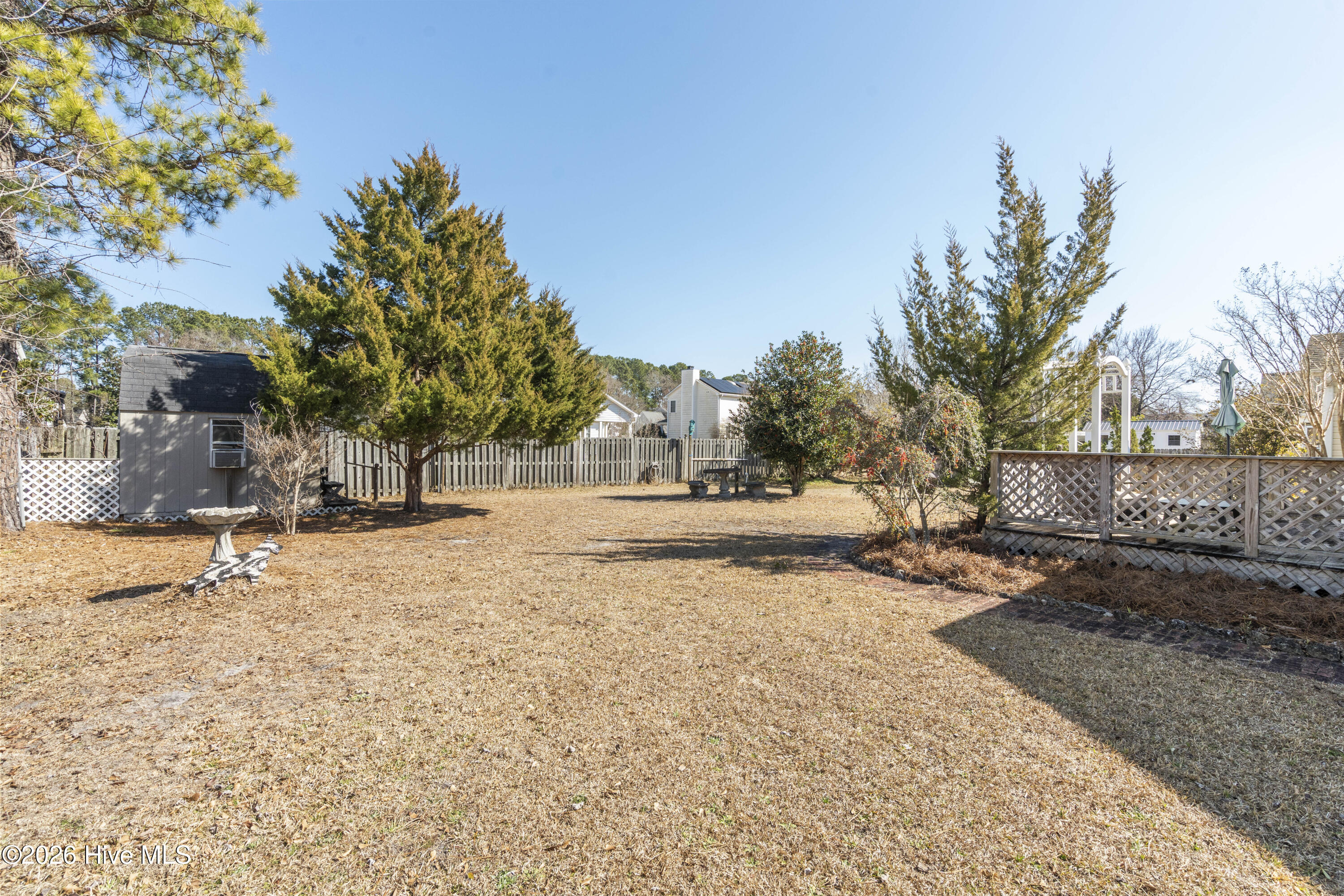 100554853 | Photo 43