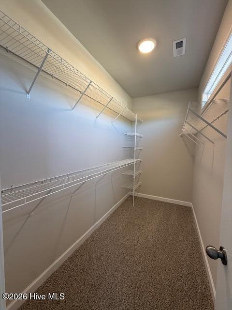 100538843 | Photo 57