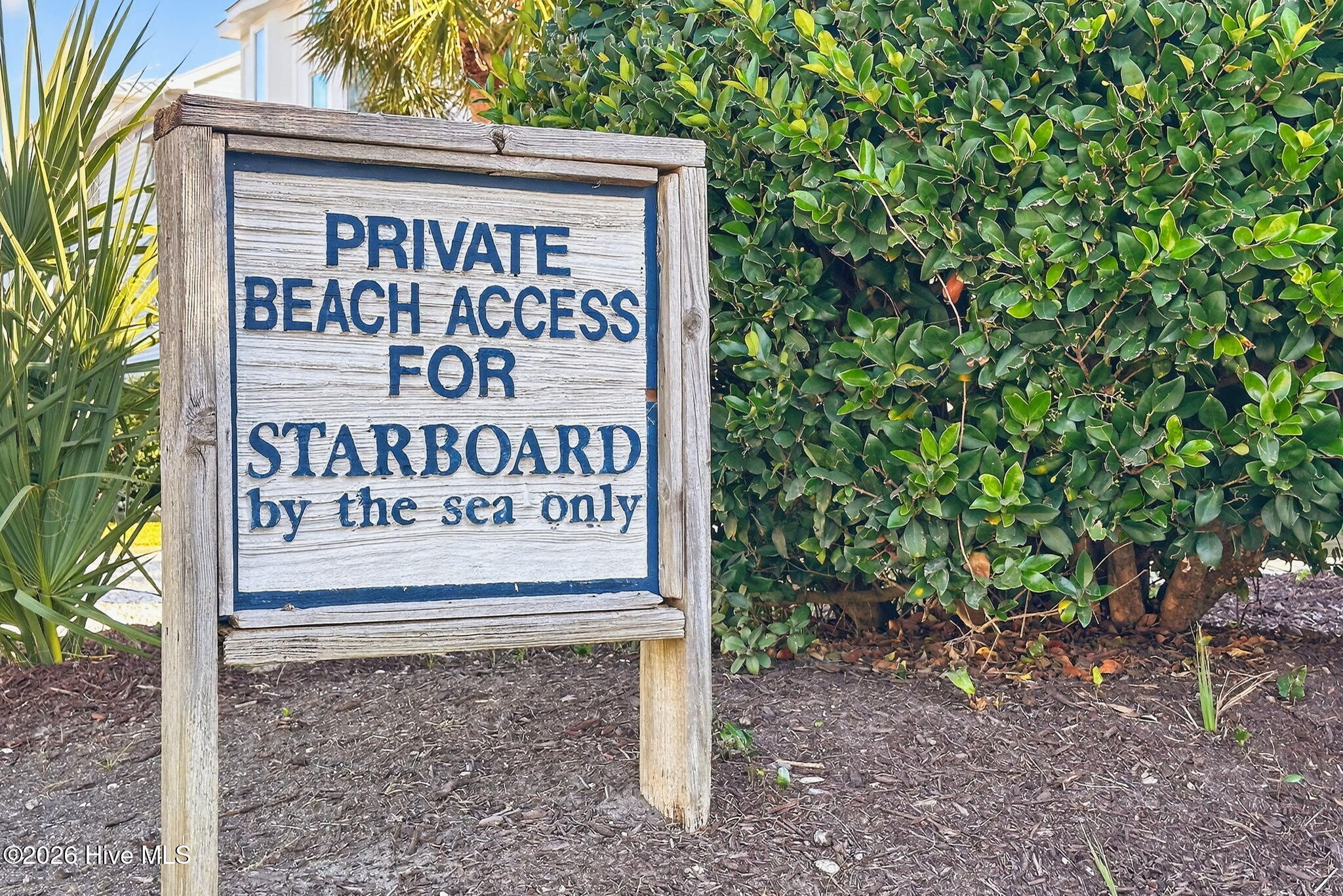 100562824 | Photo 40