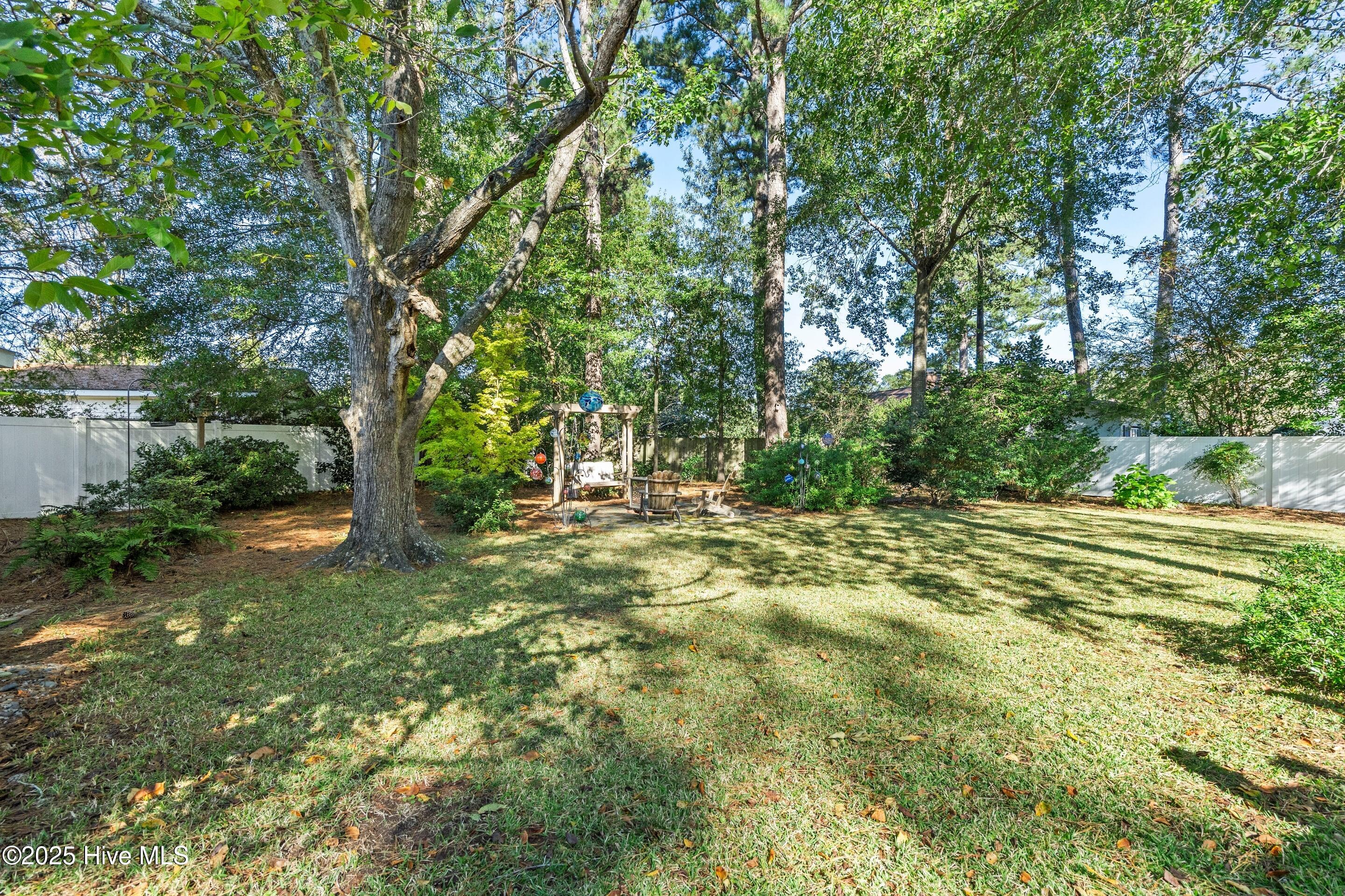 100537321 | Photo 26