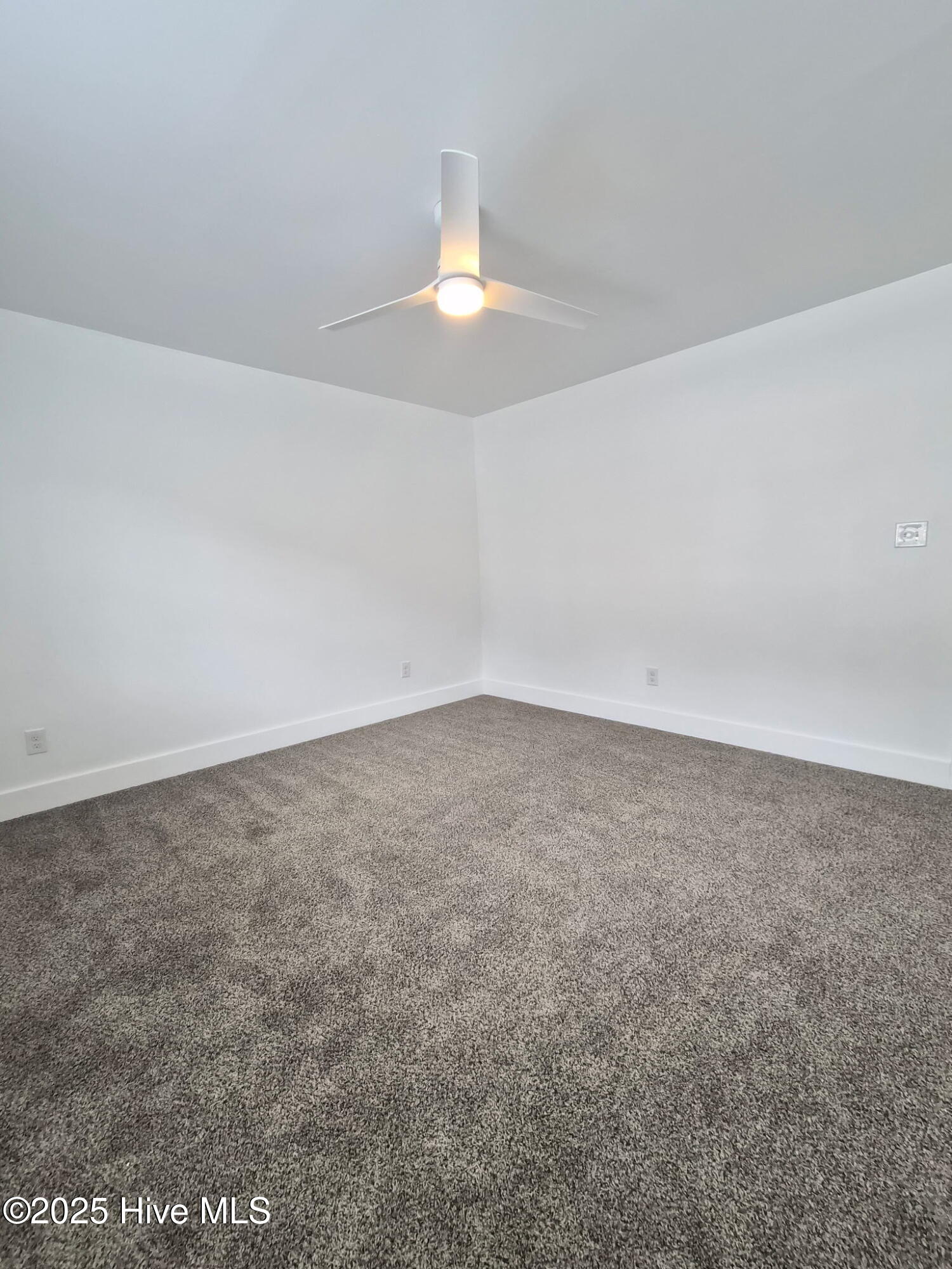 100539723 | Photo 20