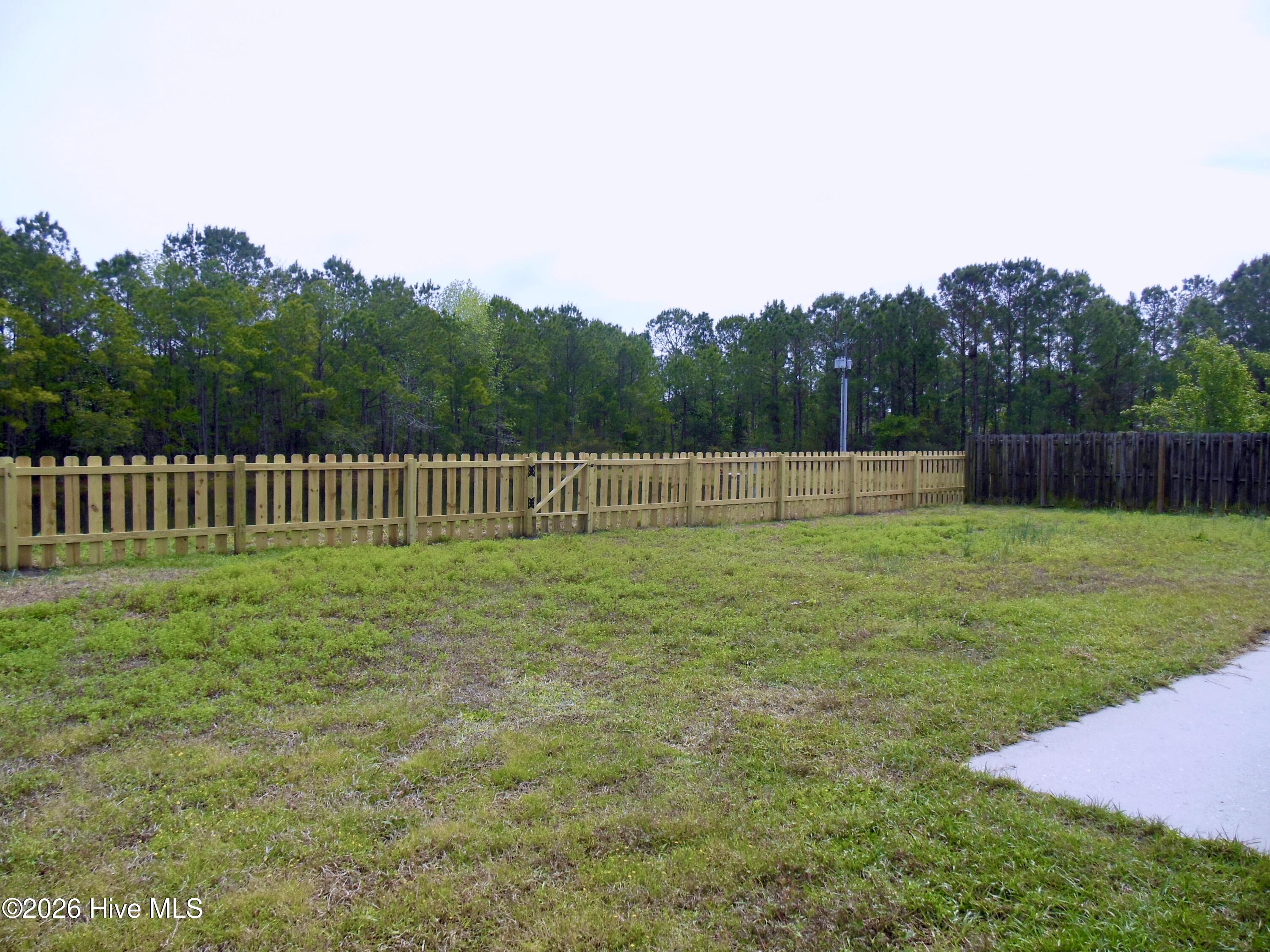 100565167 | Photo 22