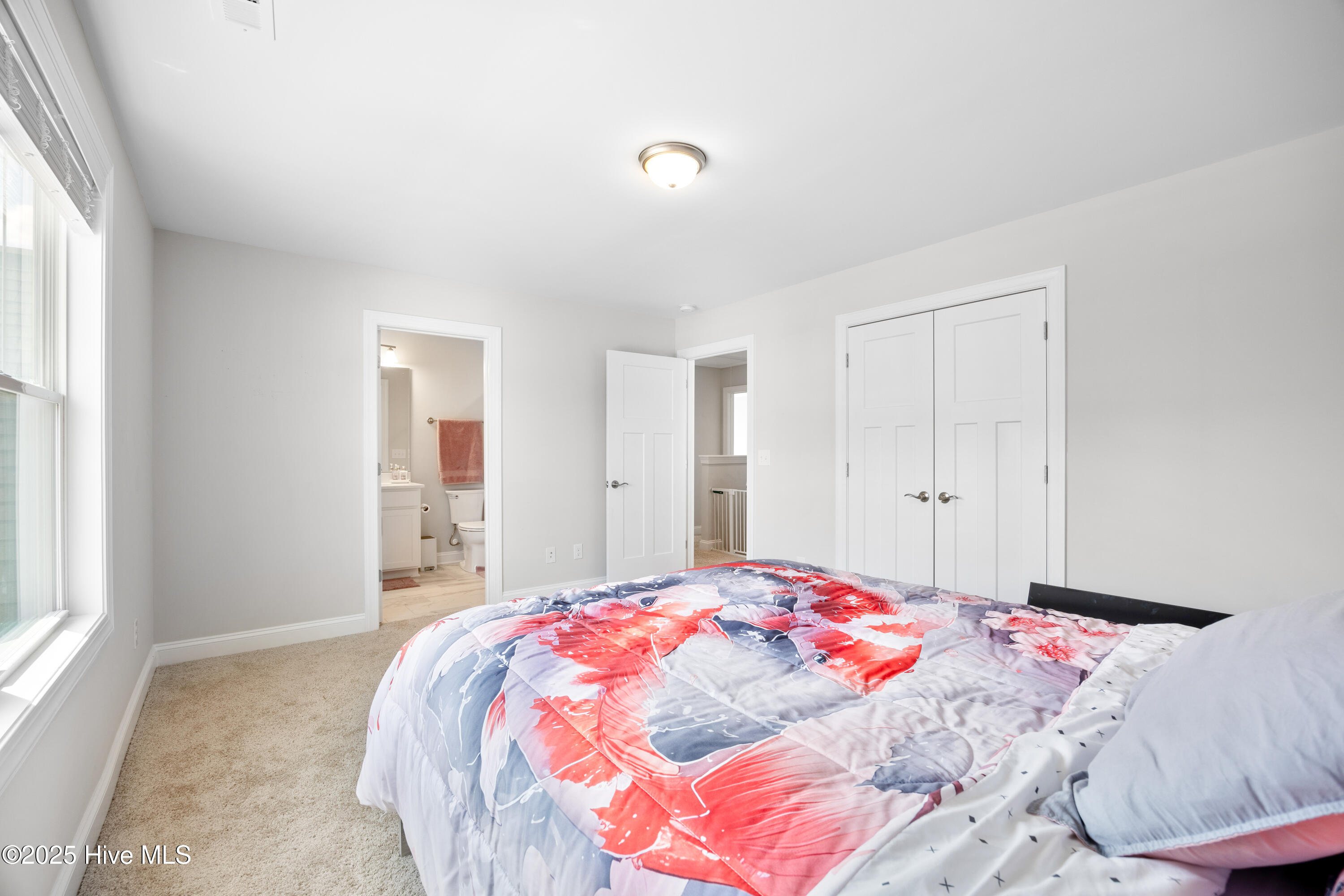 100562624 | Photo 22