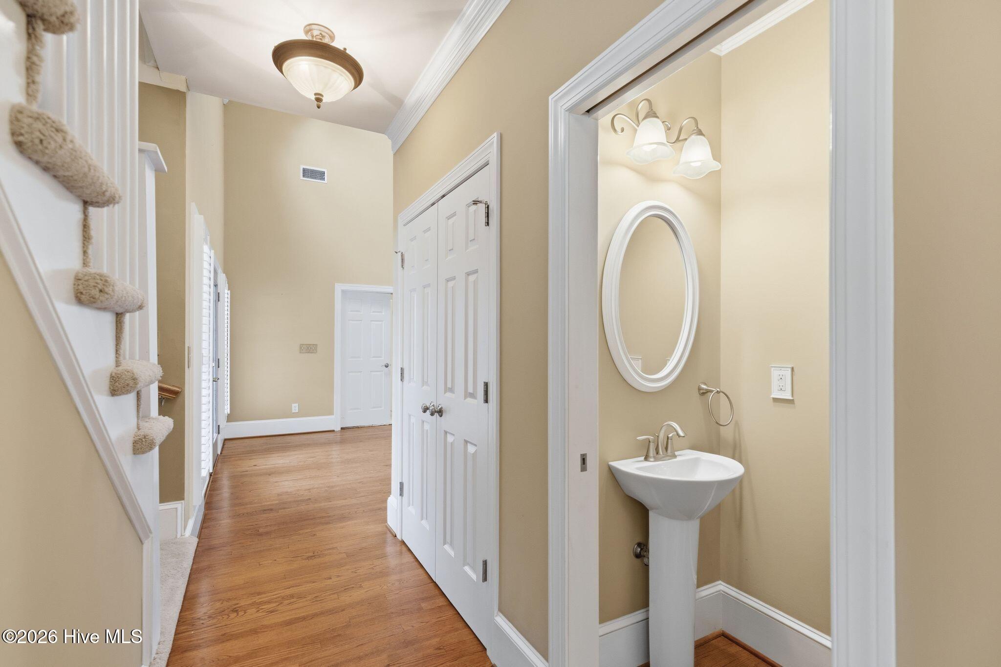 100565083 | Photo 43