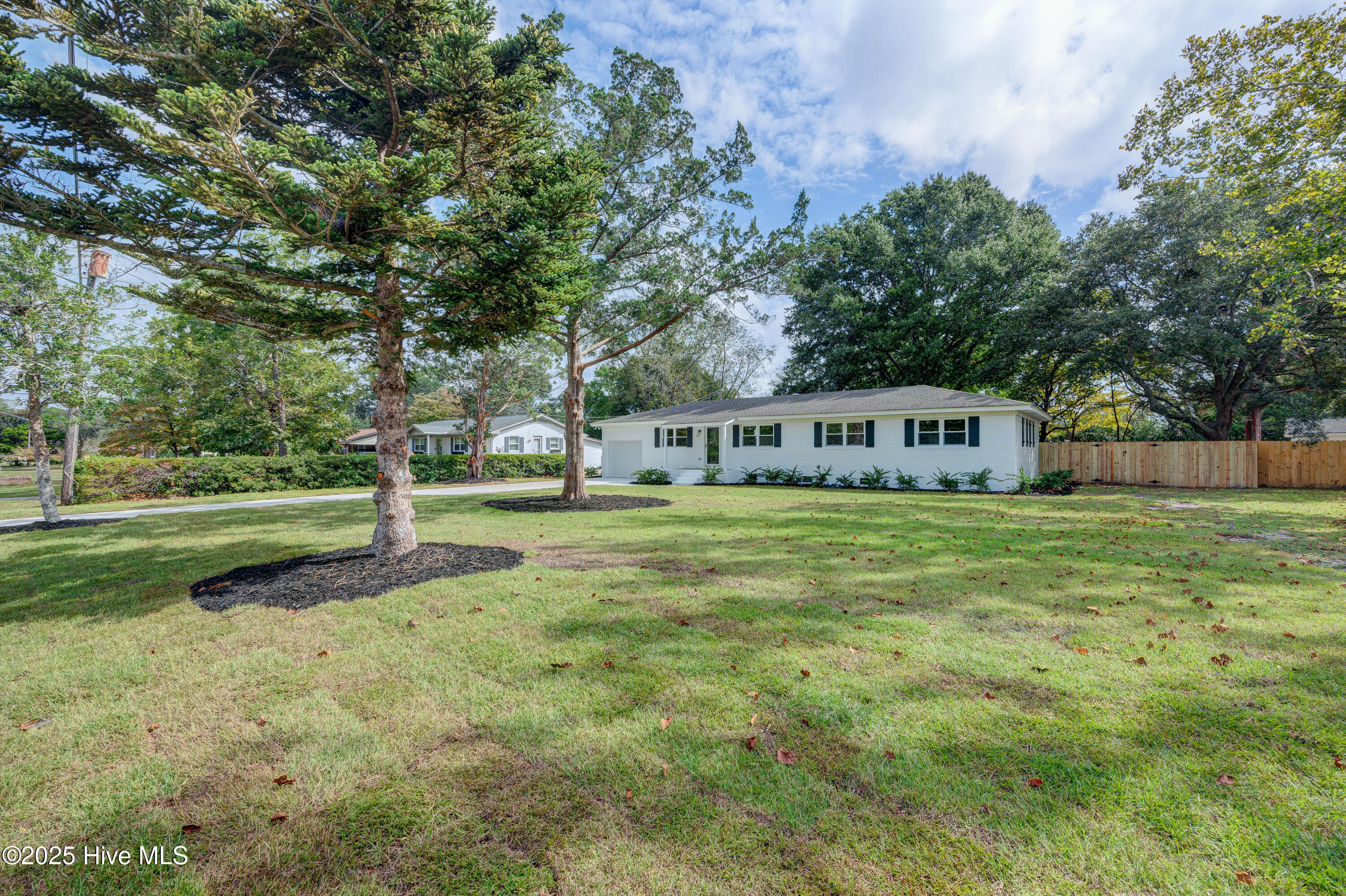 100534169 | Photo 34