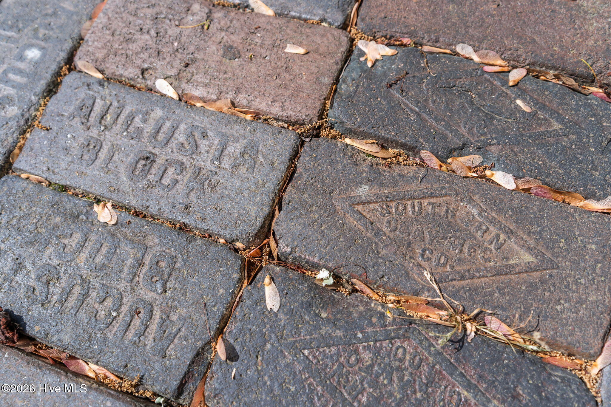 100565544 | Photo 37