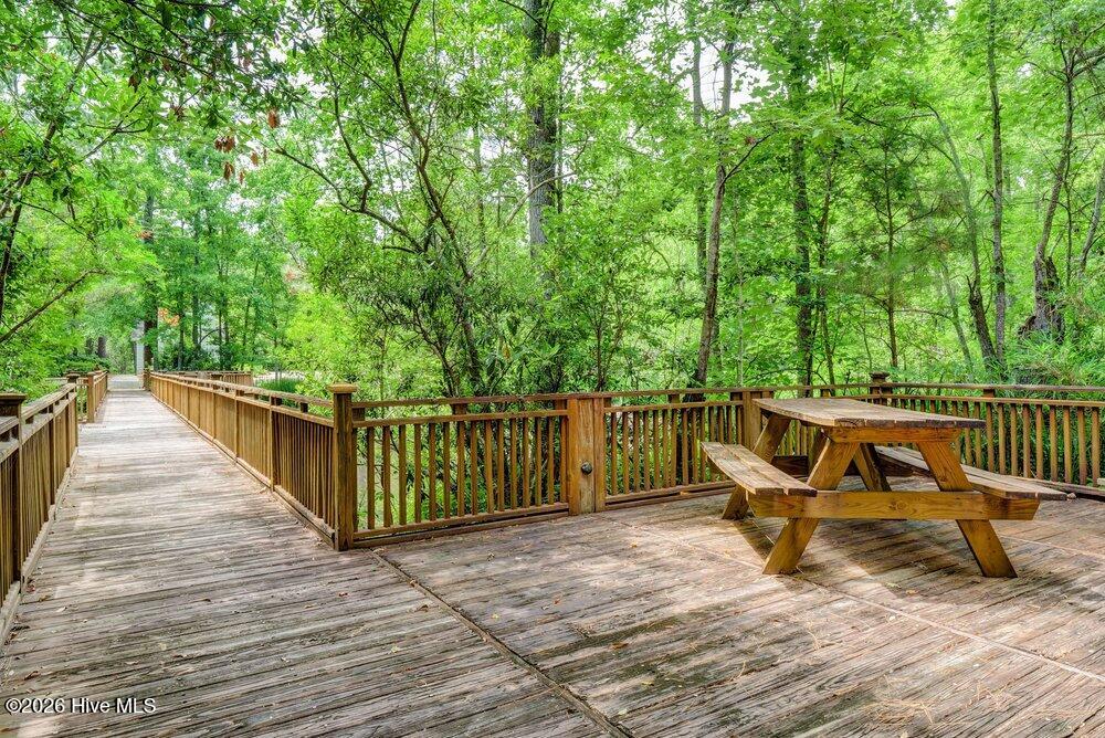 100563966 | Photo 79