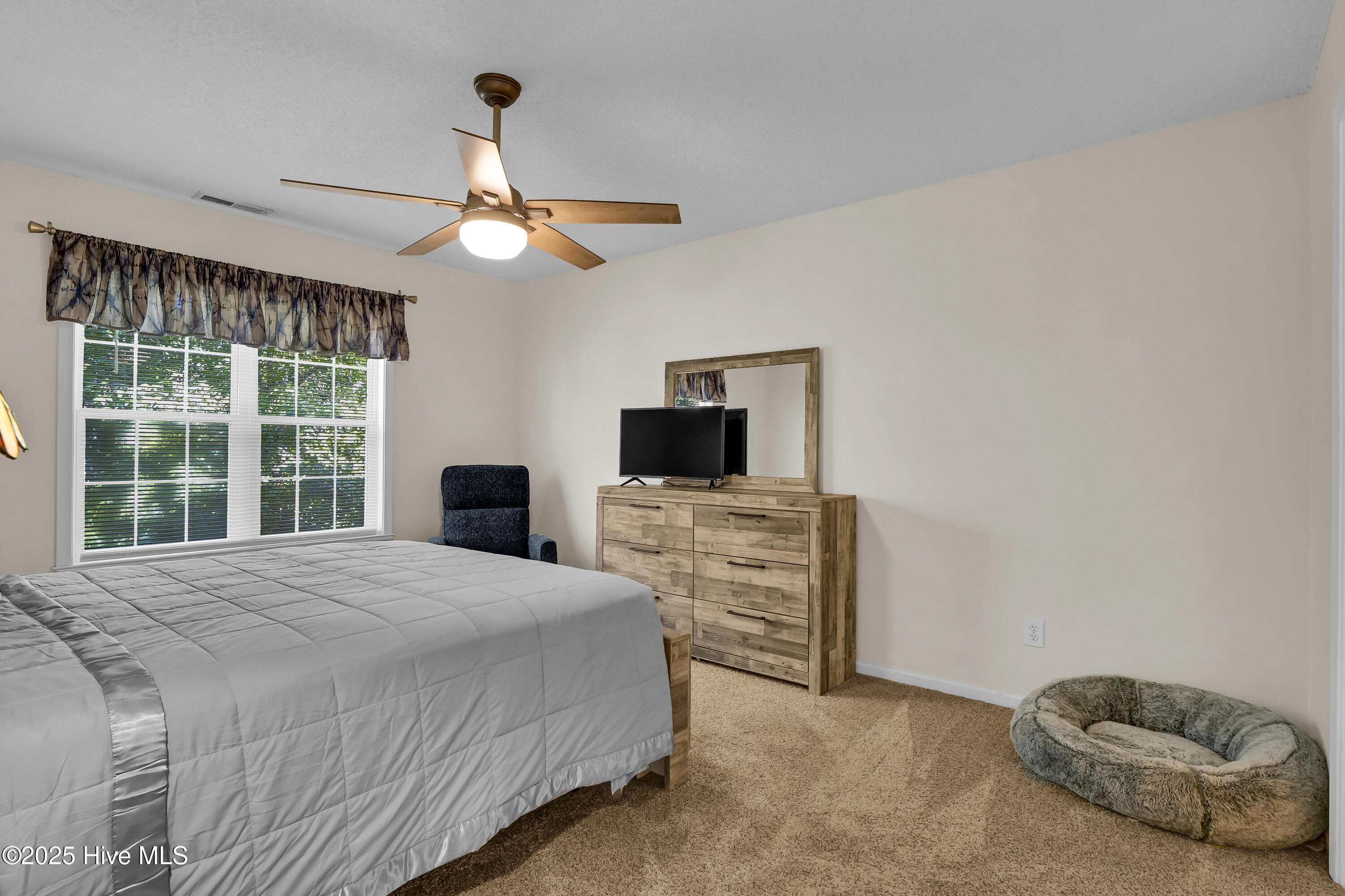 100519477 | Photo 19