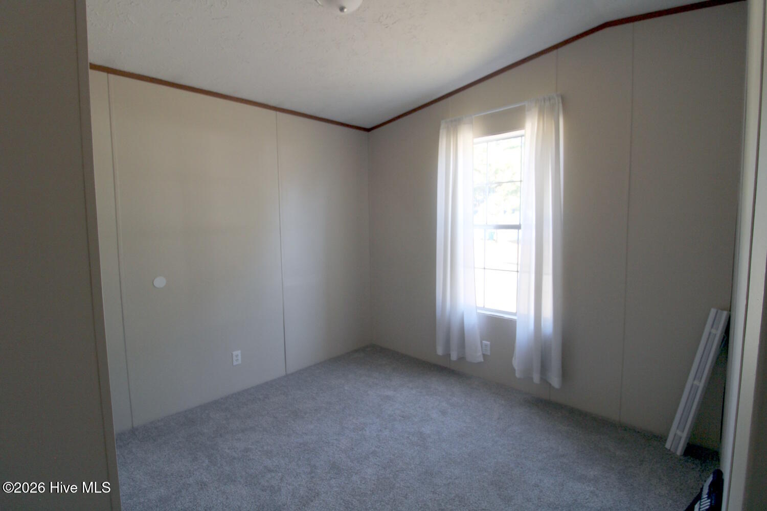 100551123 | Photo 14