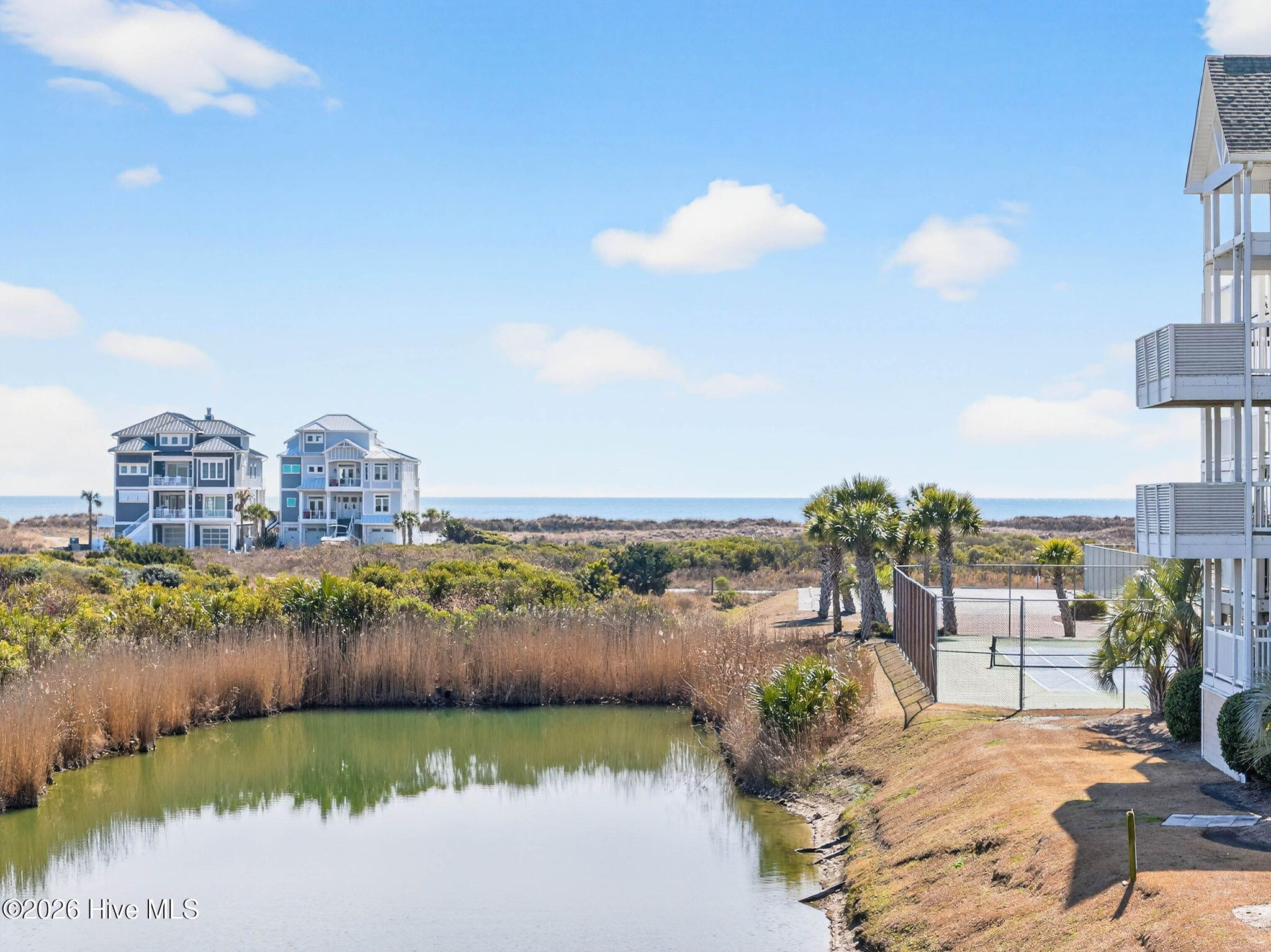 100555229 | Photo 51