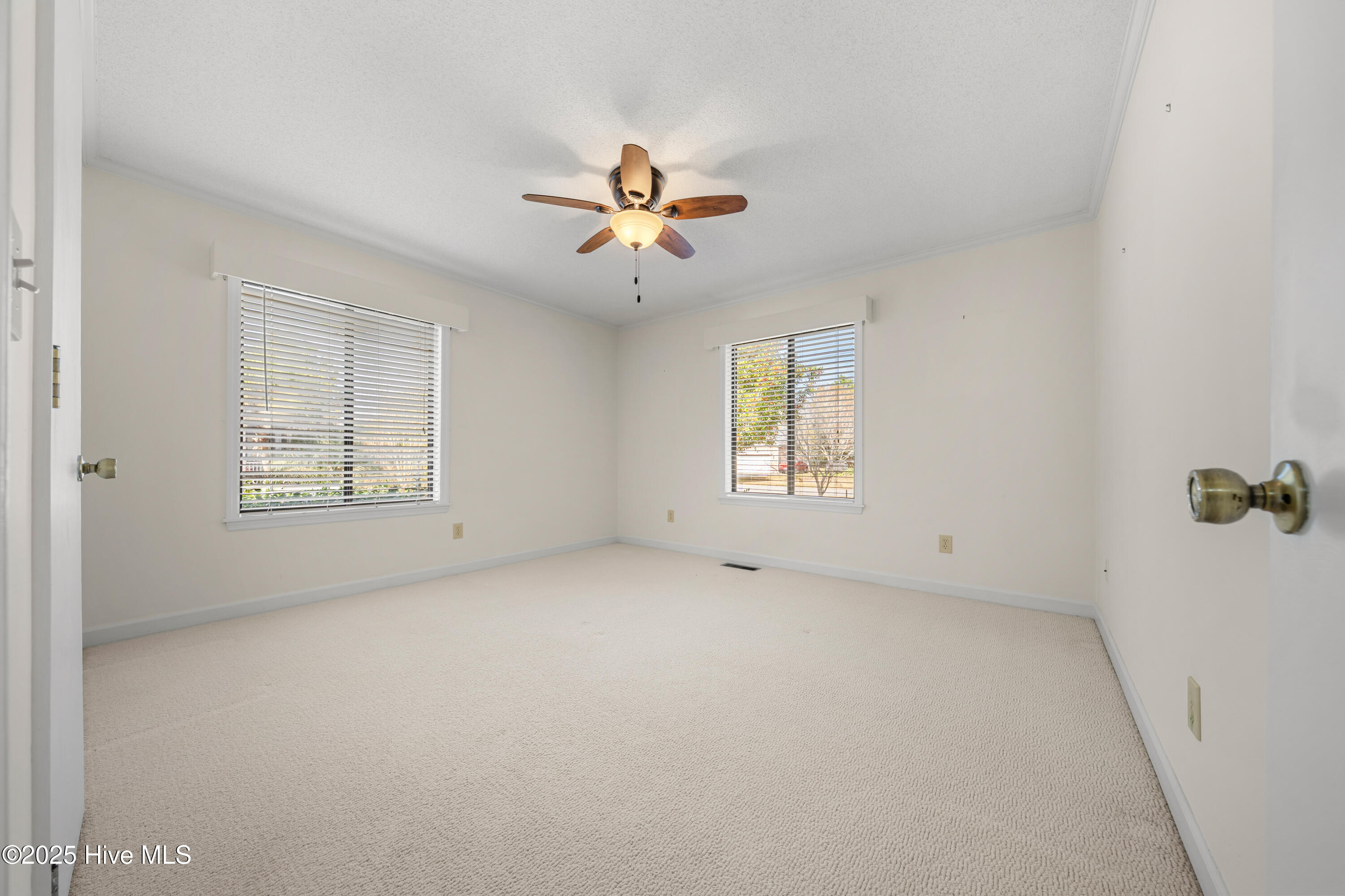 100542635 | Photo 22