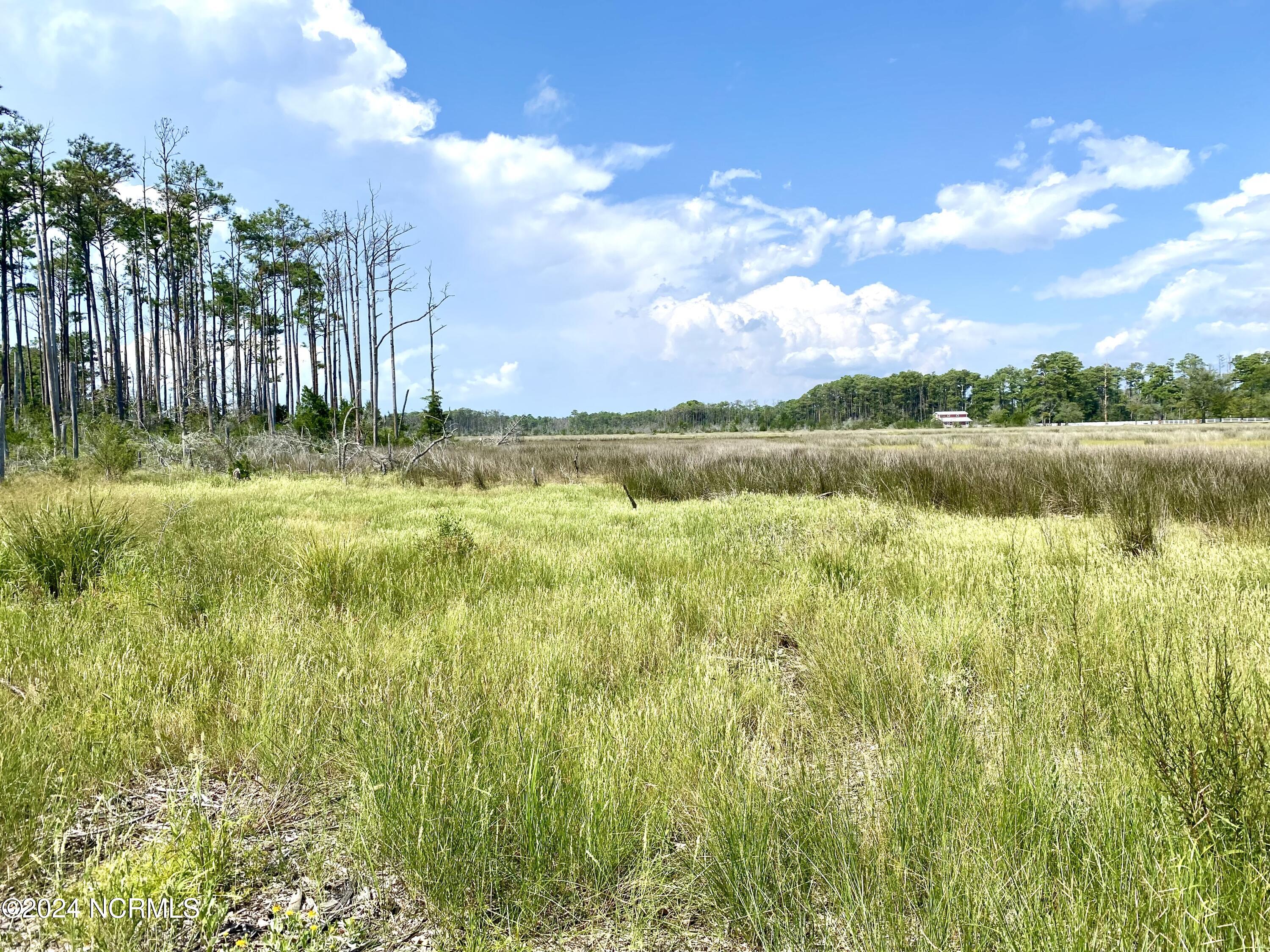 280 Donnie Davis Road,Williston