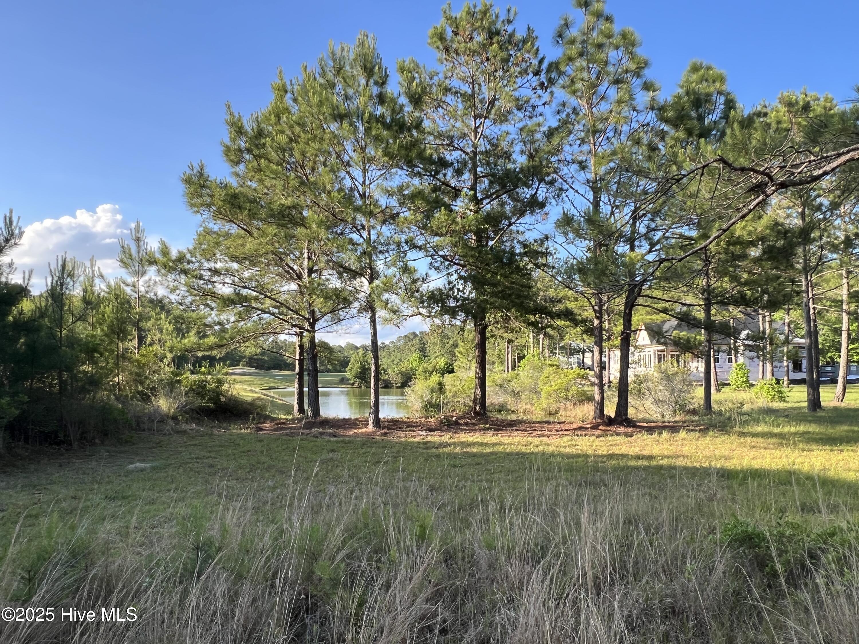 100509687 | Photo 49