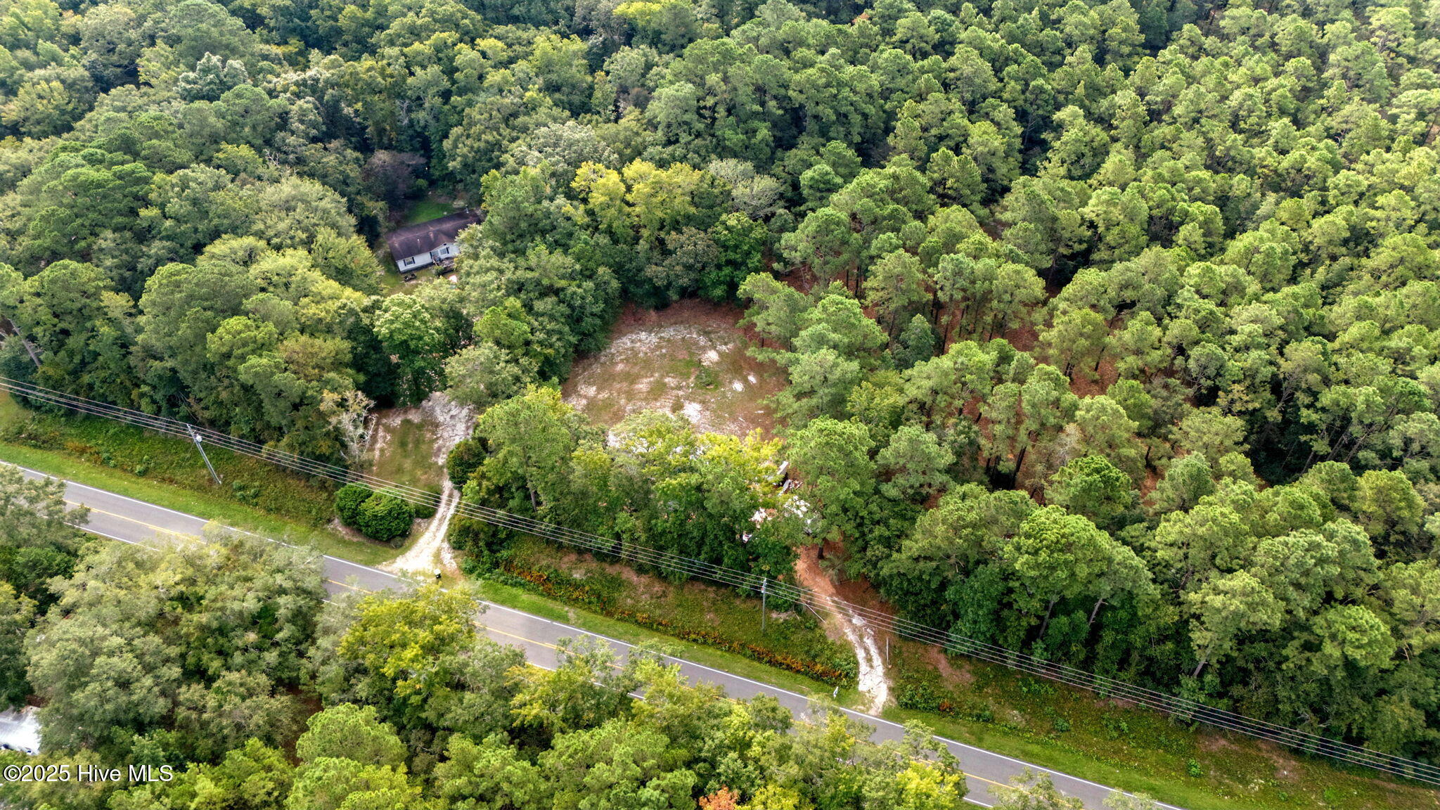 100526805 | Photo 14