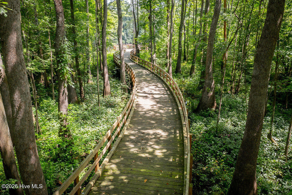 100558848 | Photo 51