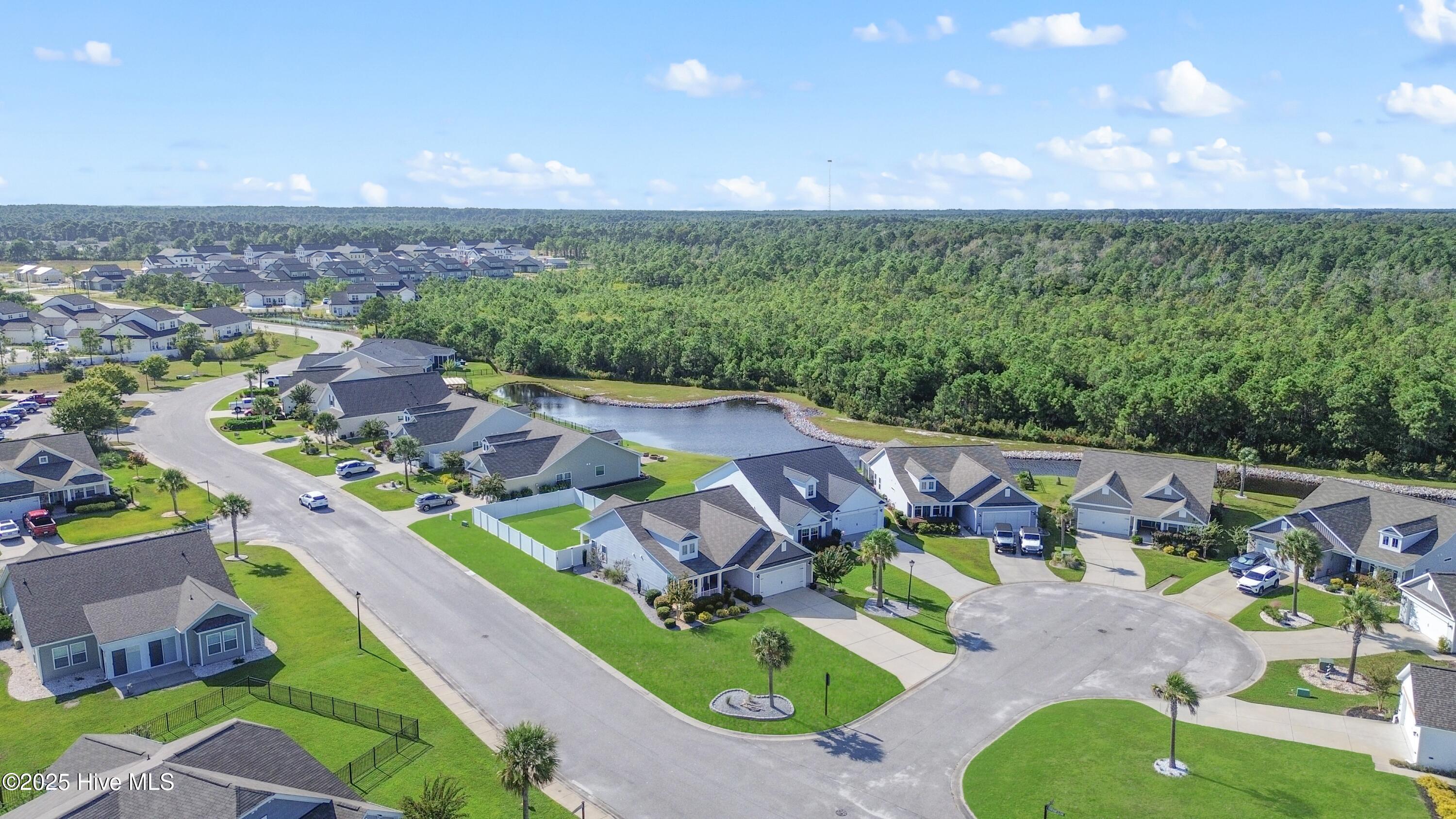 100535031 | Photo 40