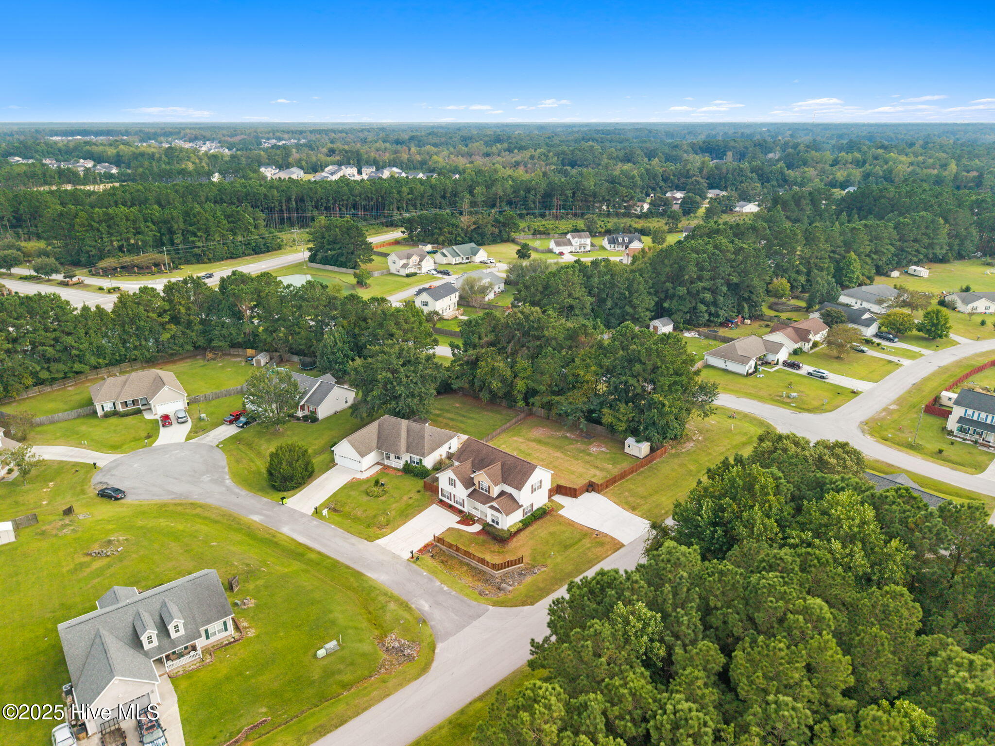 100532081 | Photo 17