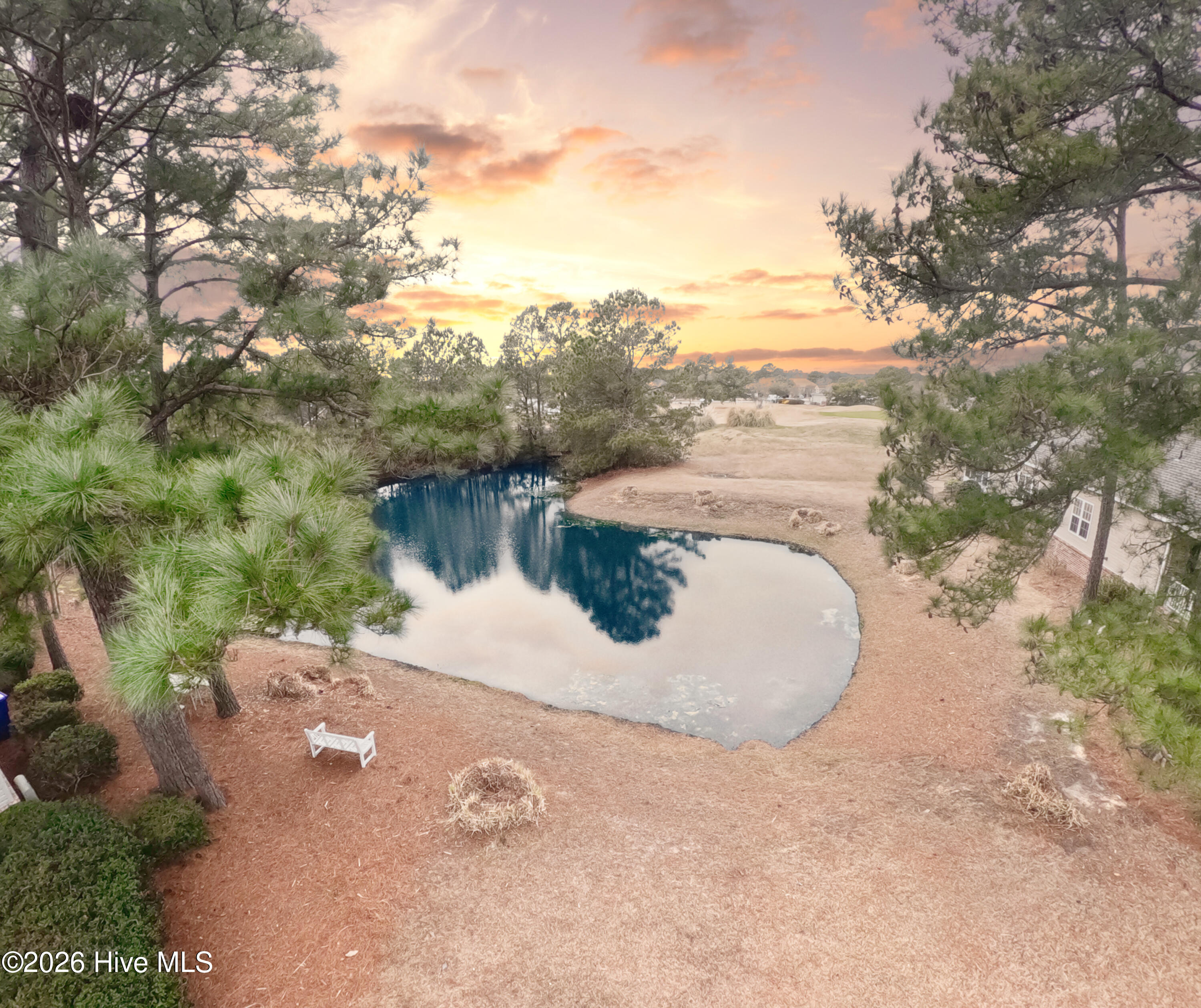 100558044 | Photo 60