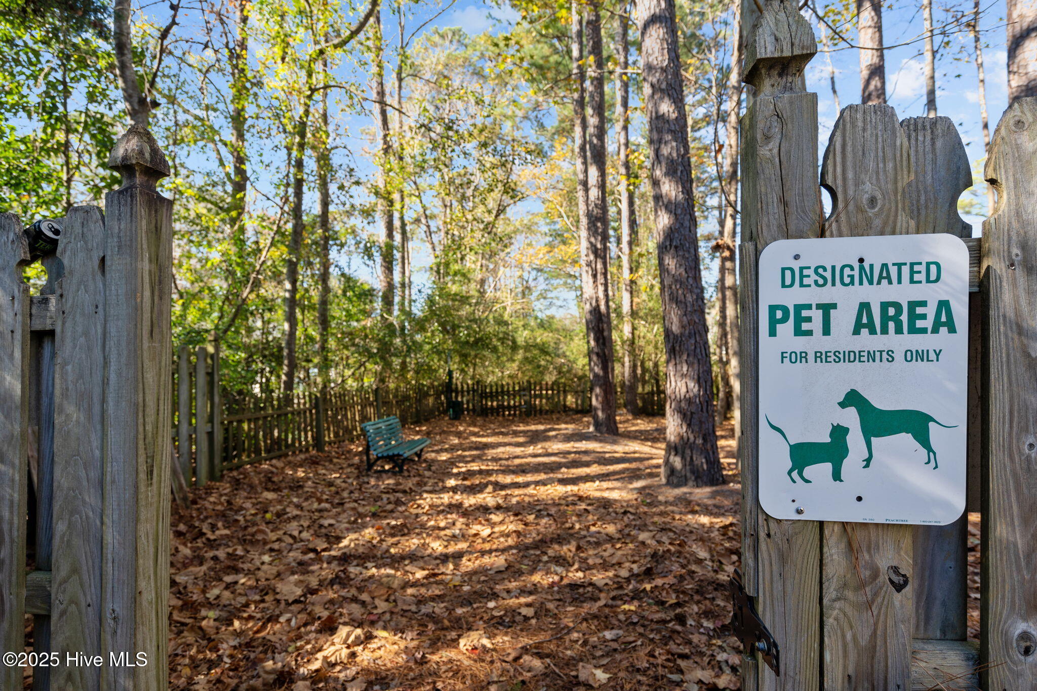 100546041 | Photo 44