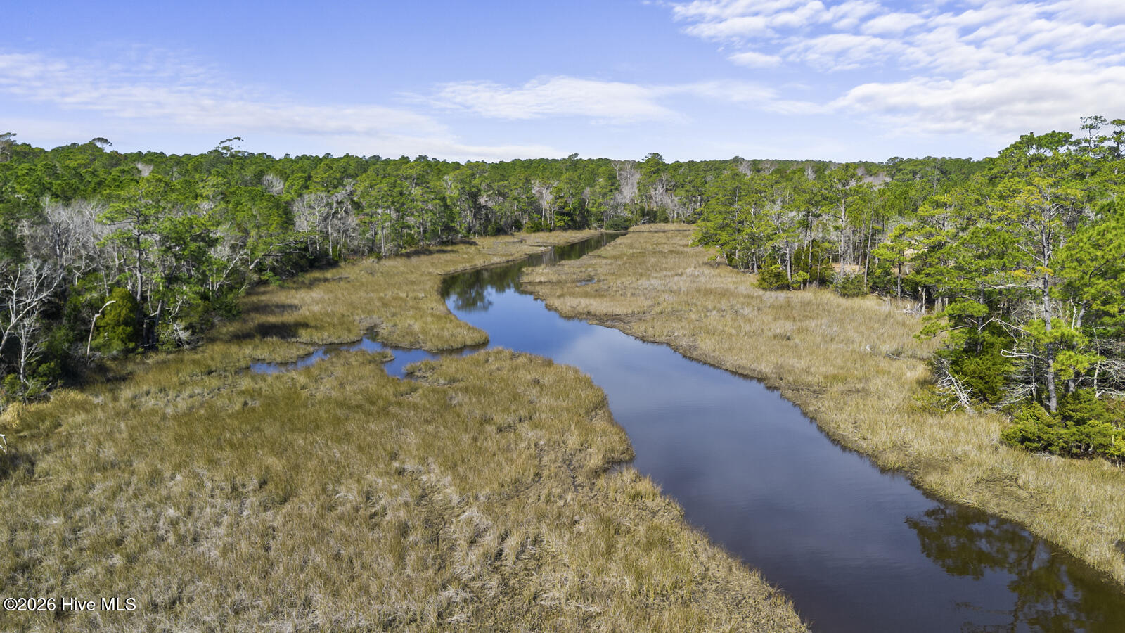 100556930 | Photo 24