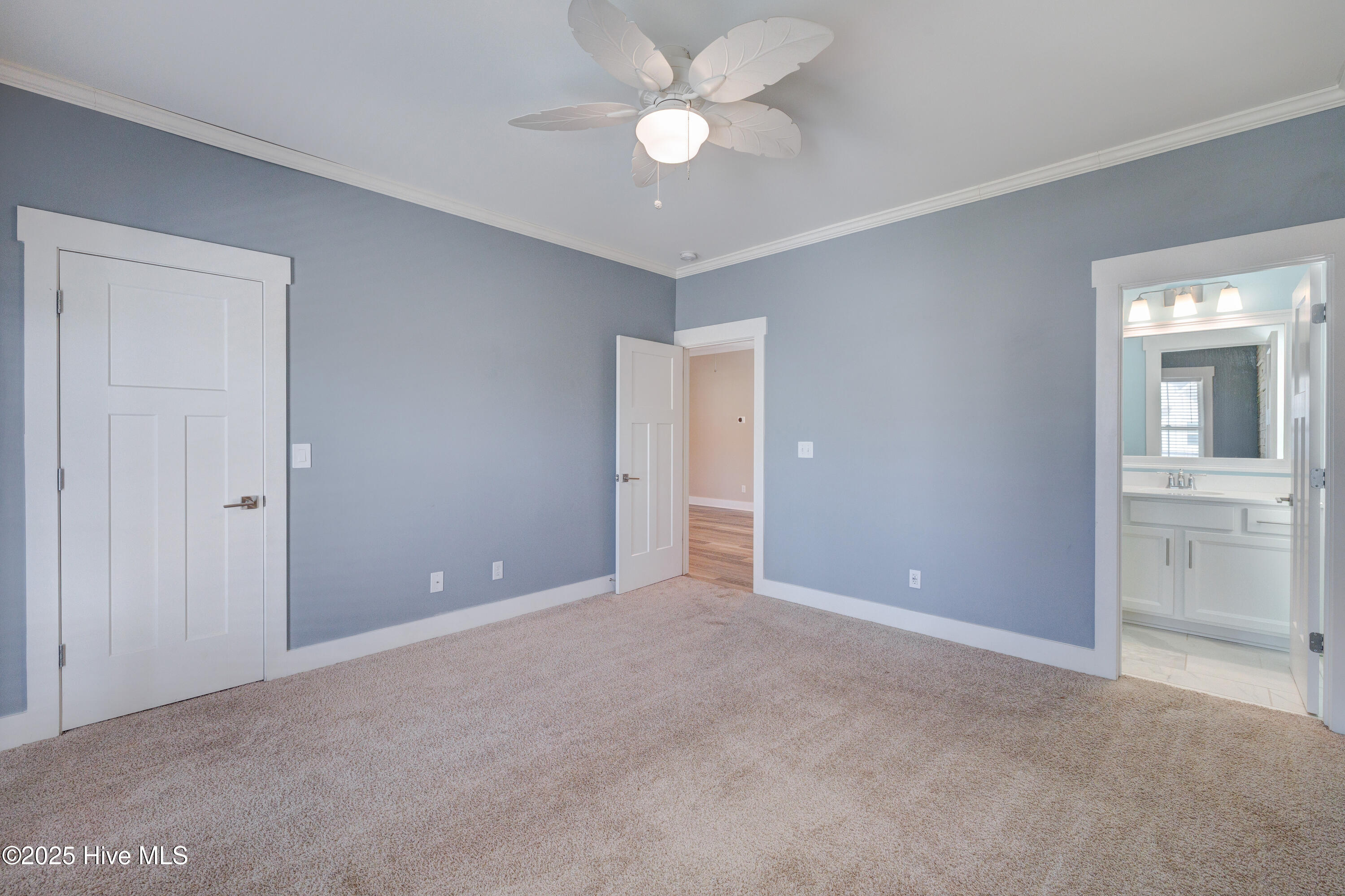 100534691 | Photo 57