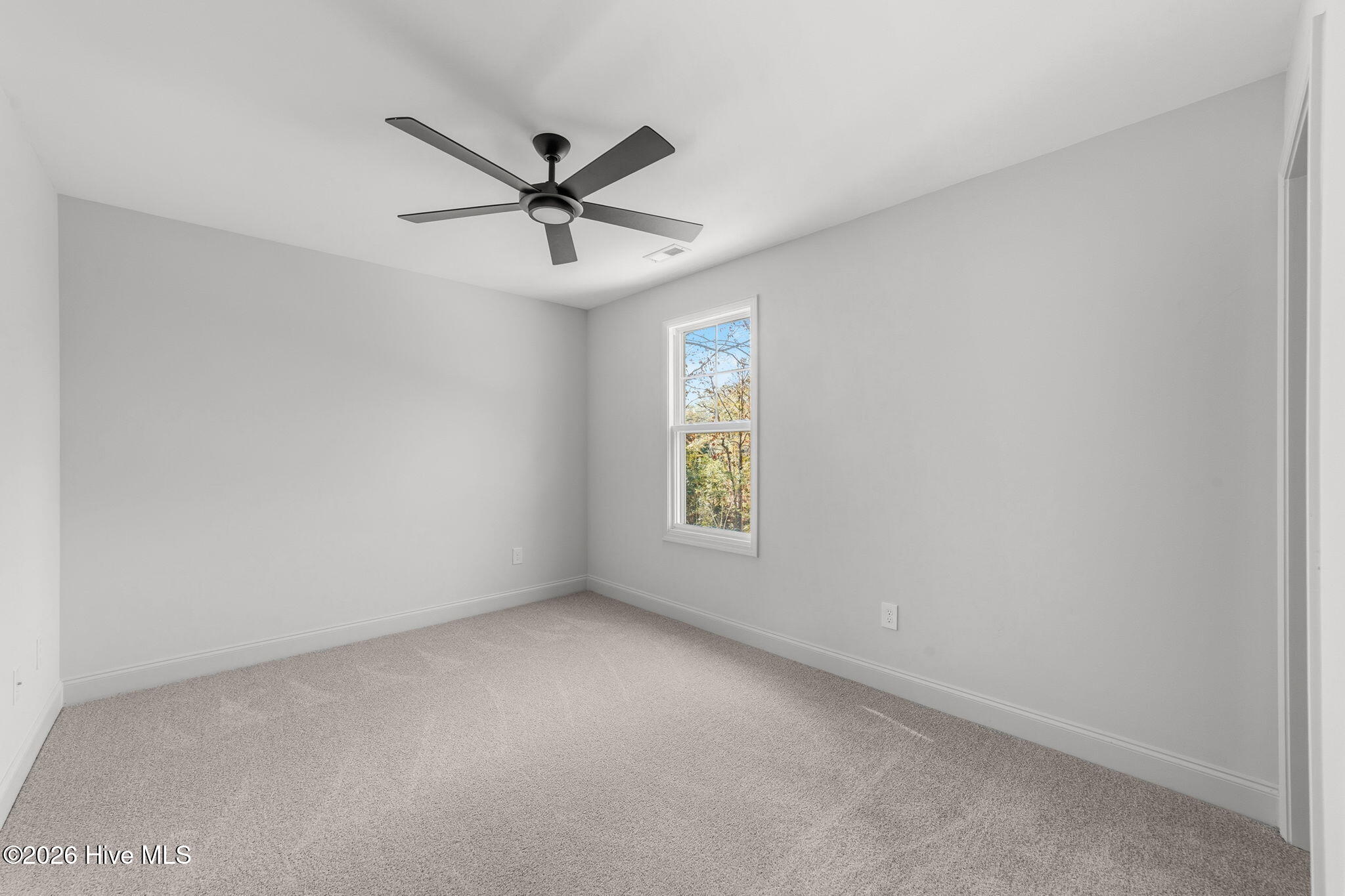 100528698 | Photo 26