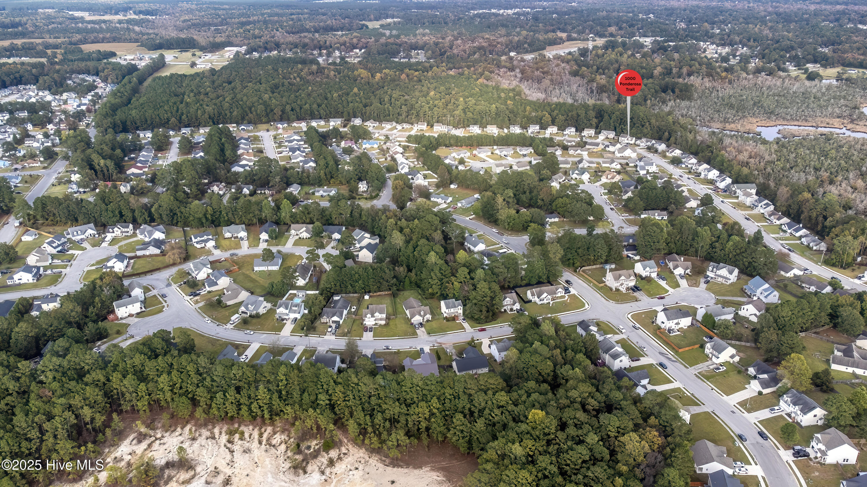 100539008 | Photo 82