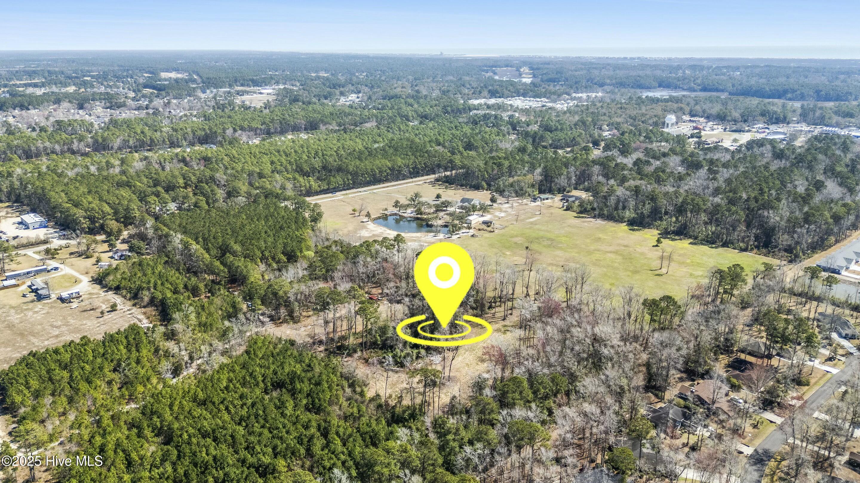 100495483 | Photo 11