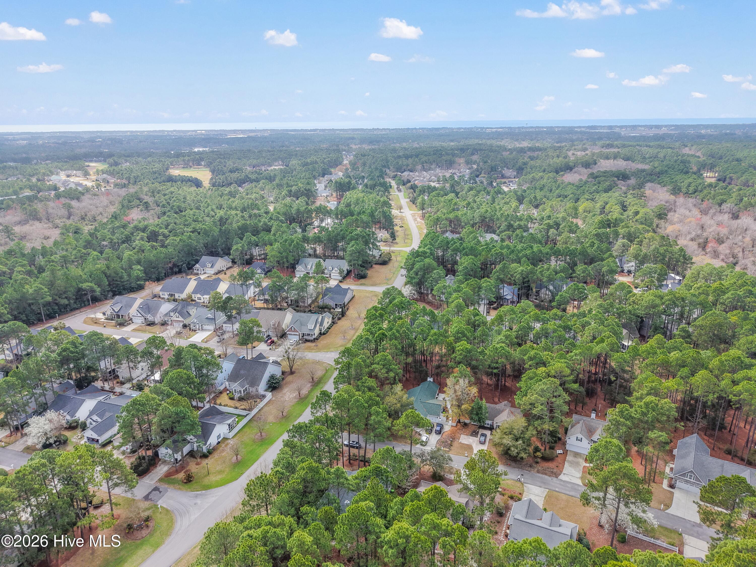 100559952 | Photo 54