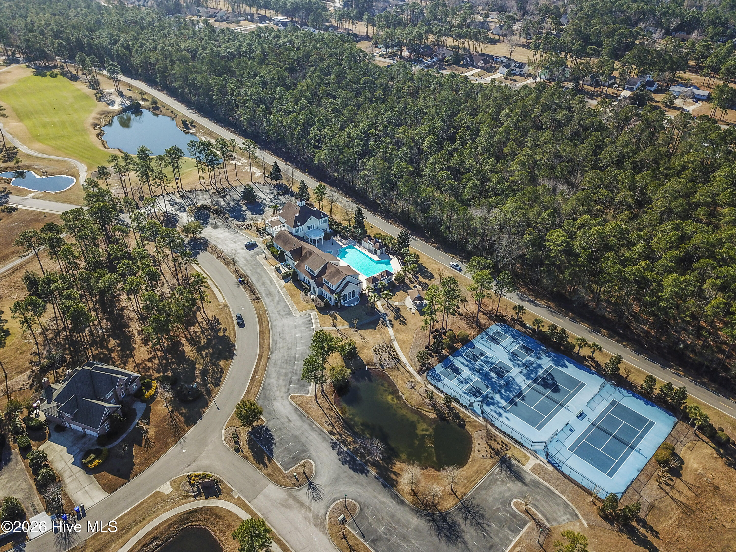 100556078 | Photo 97