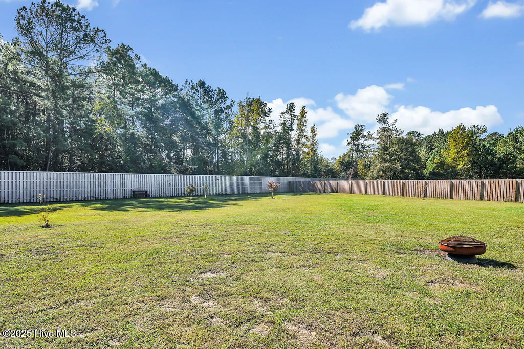 100535905 | Photo 44