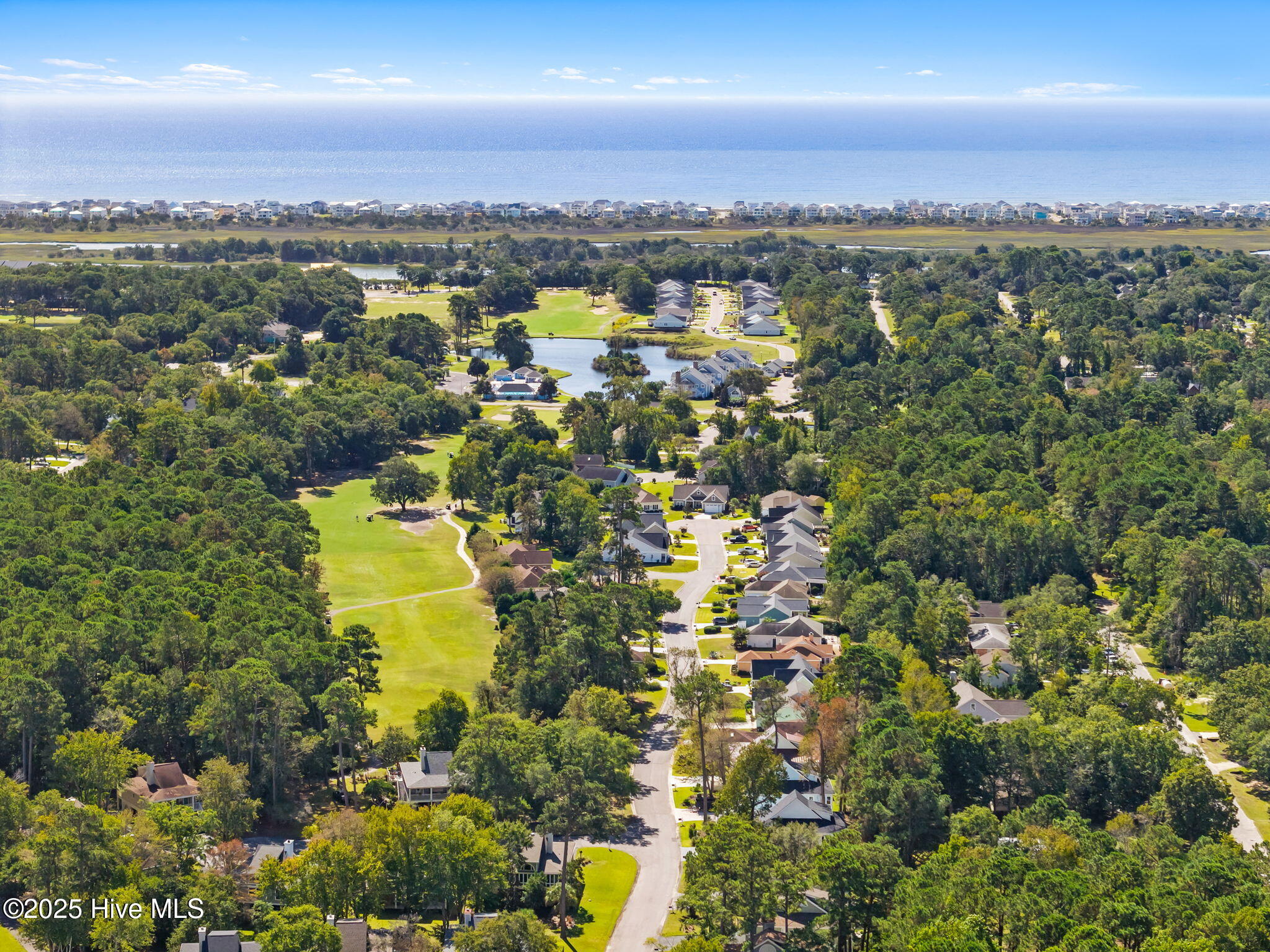 100535122 | Photo 30