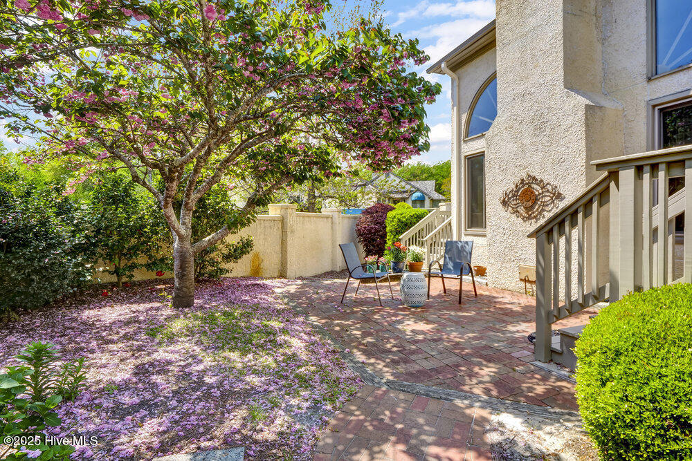 100551135 | Photo 33