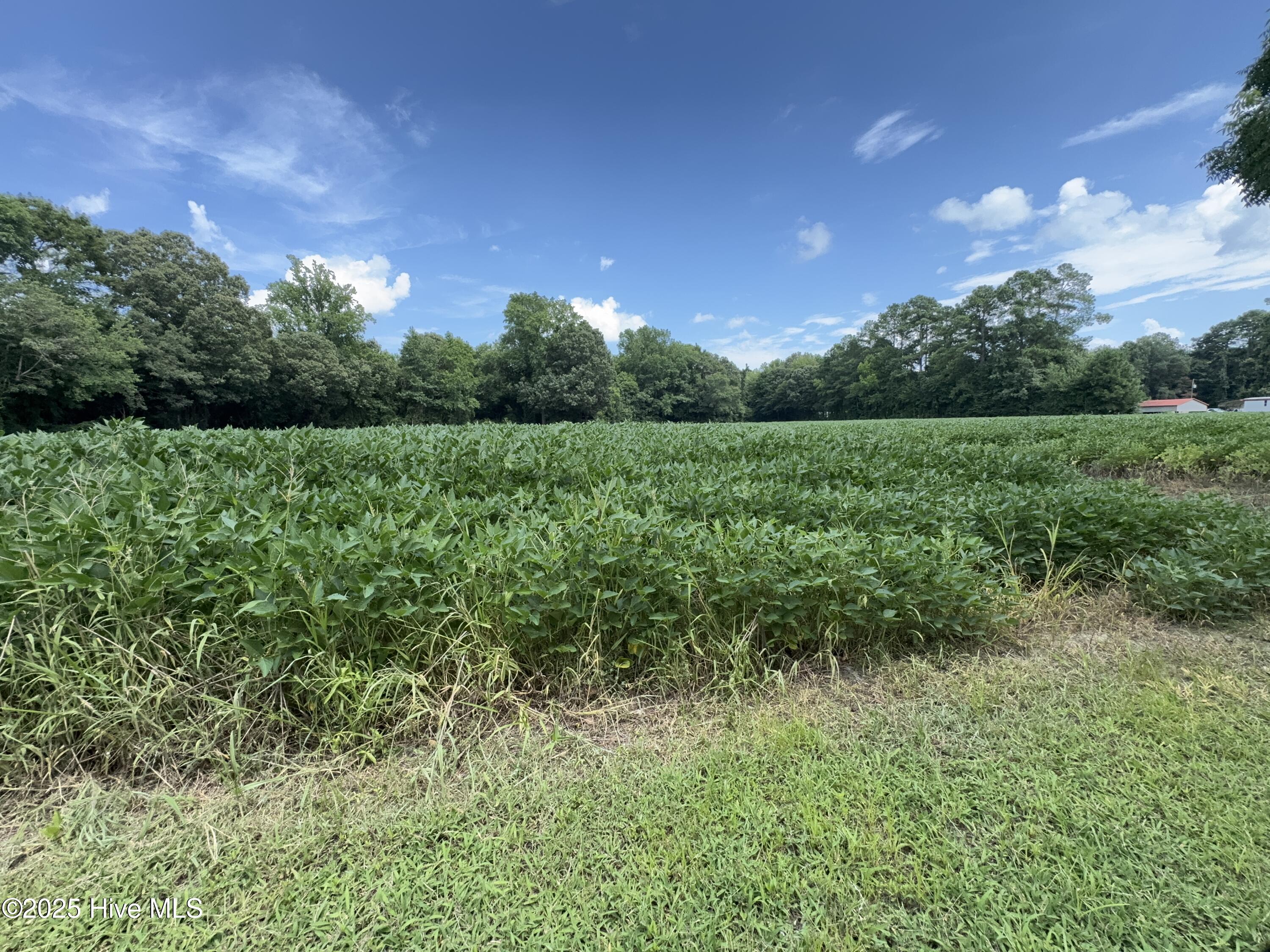 Farm land through 2025