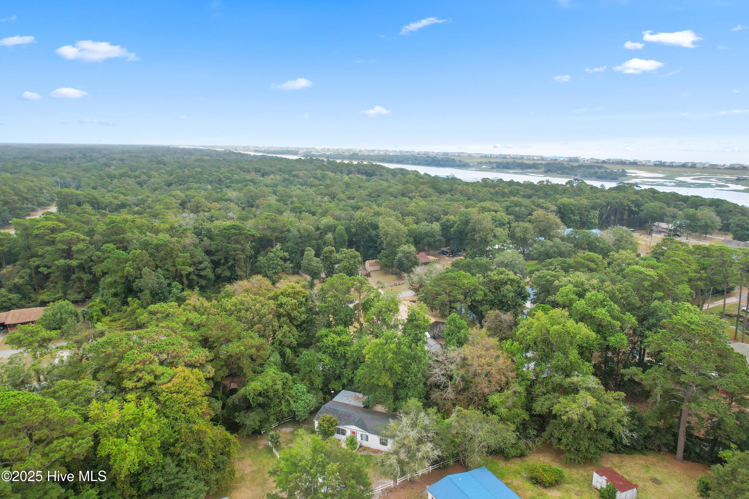 100565495 | Photo 47