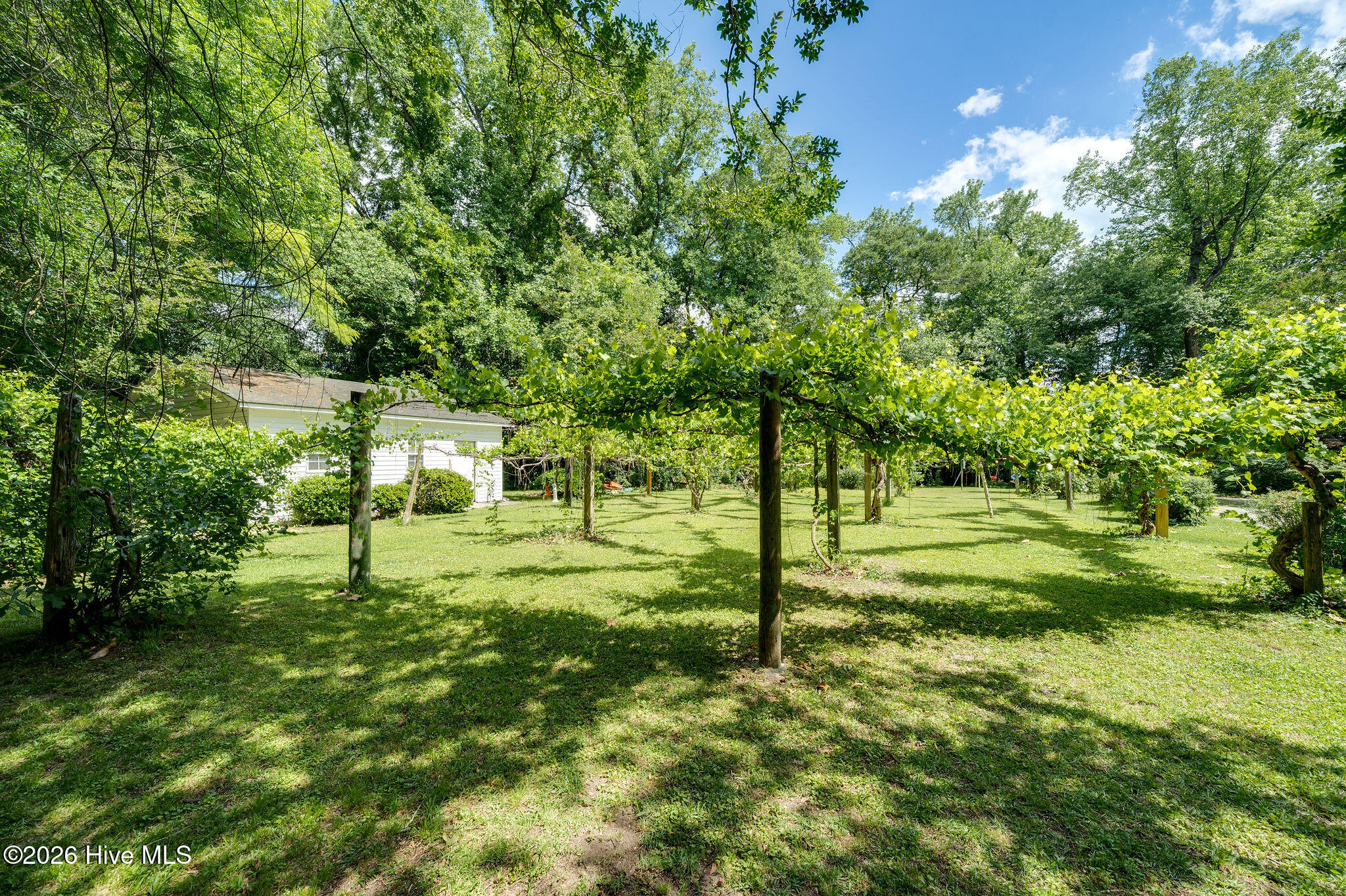 218duplin-032