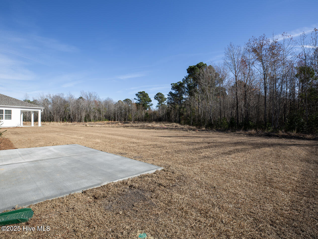 100546260 | Photo 40