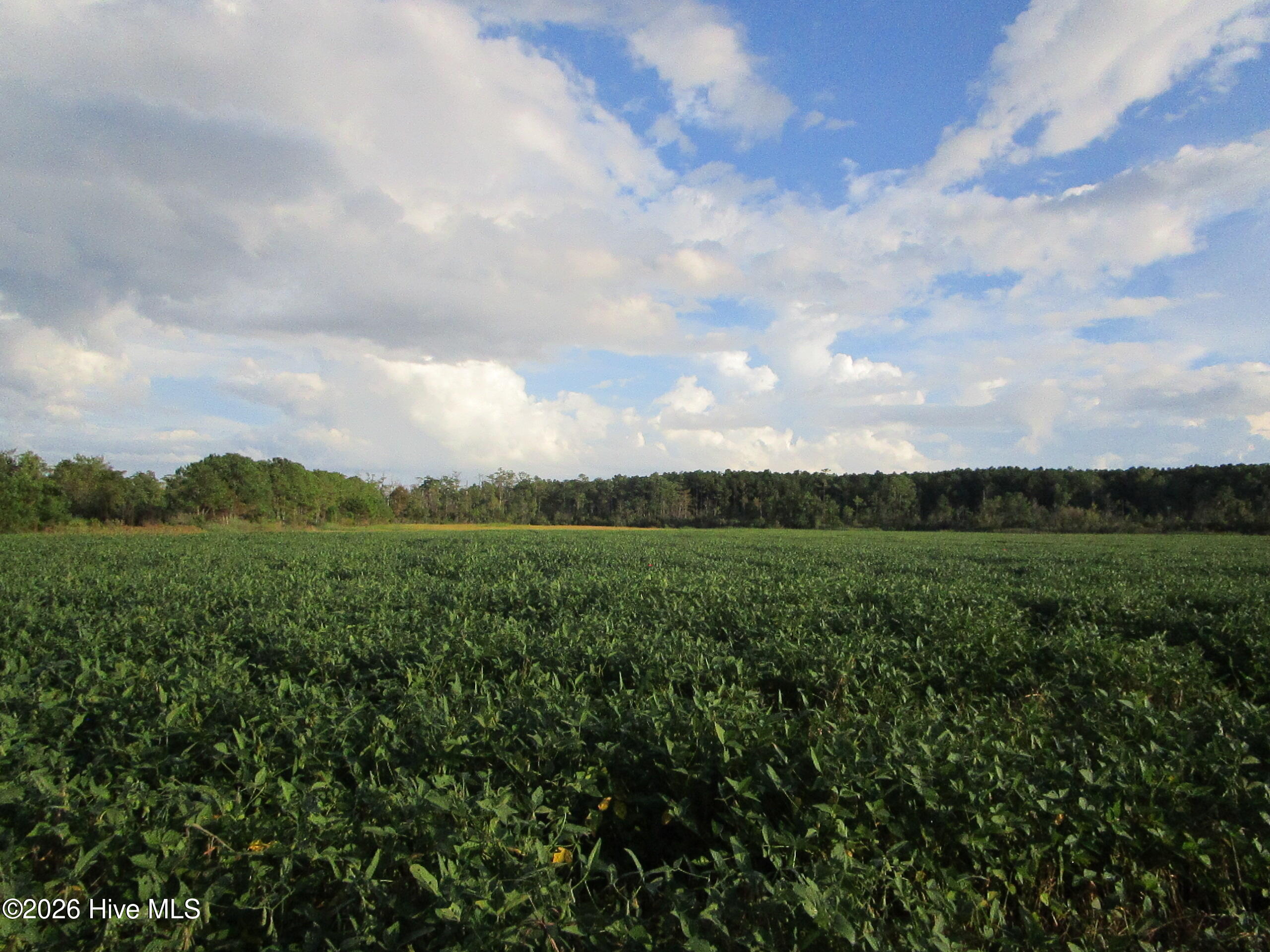 Photo 1 of Land for sale at 0 Blf Point Rd, Elizabeth City, NC 27909 | MLS# 100607974 | Listing updated on 2026-10-02