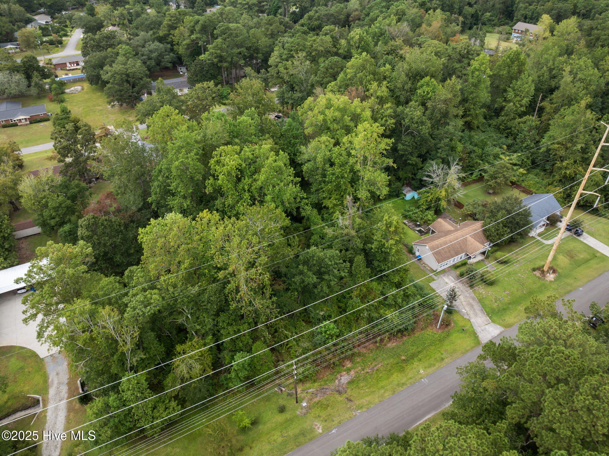 100529798 | Photo 10