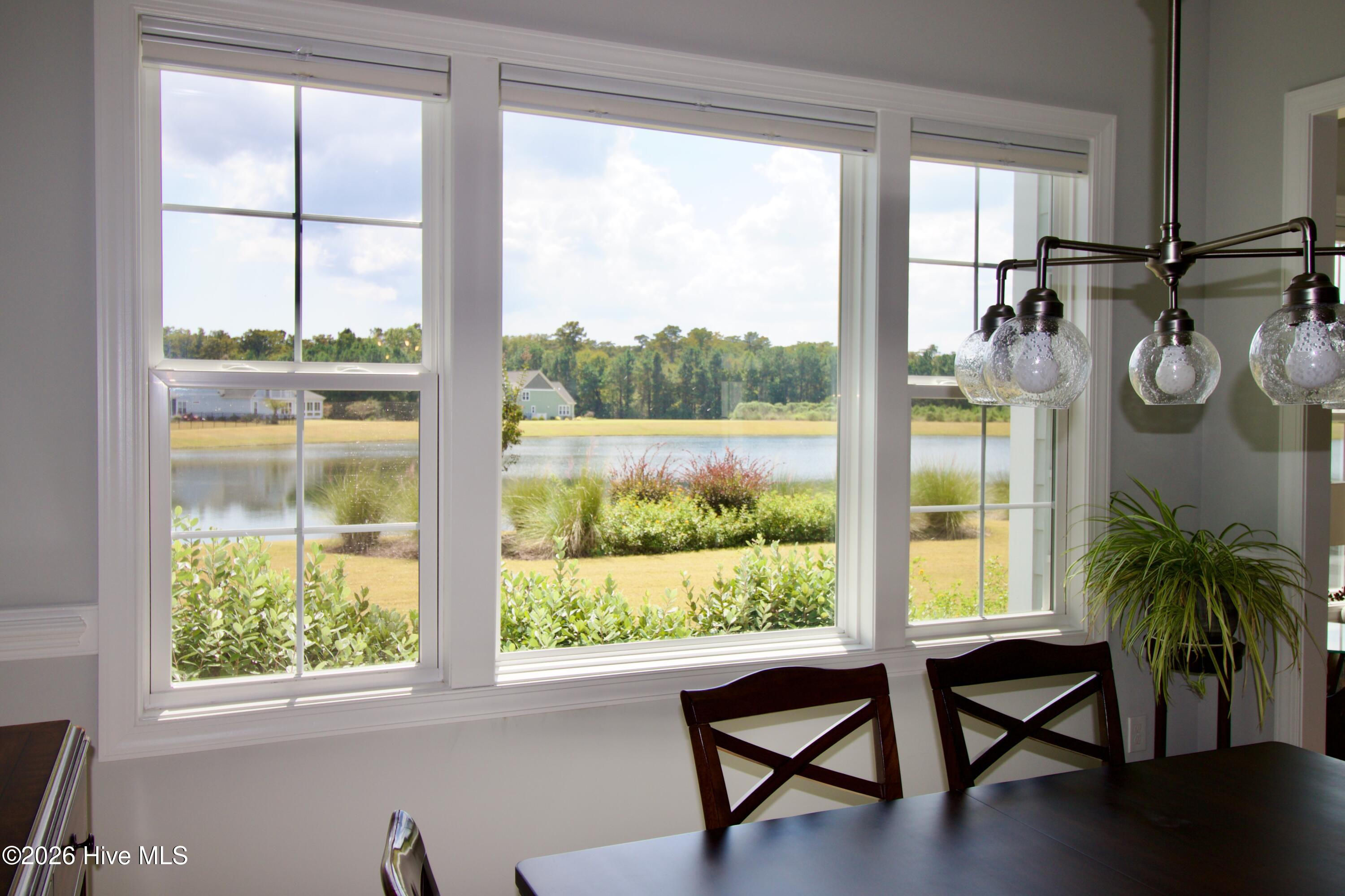 100549571 | Photo 23