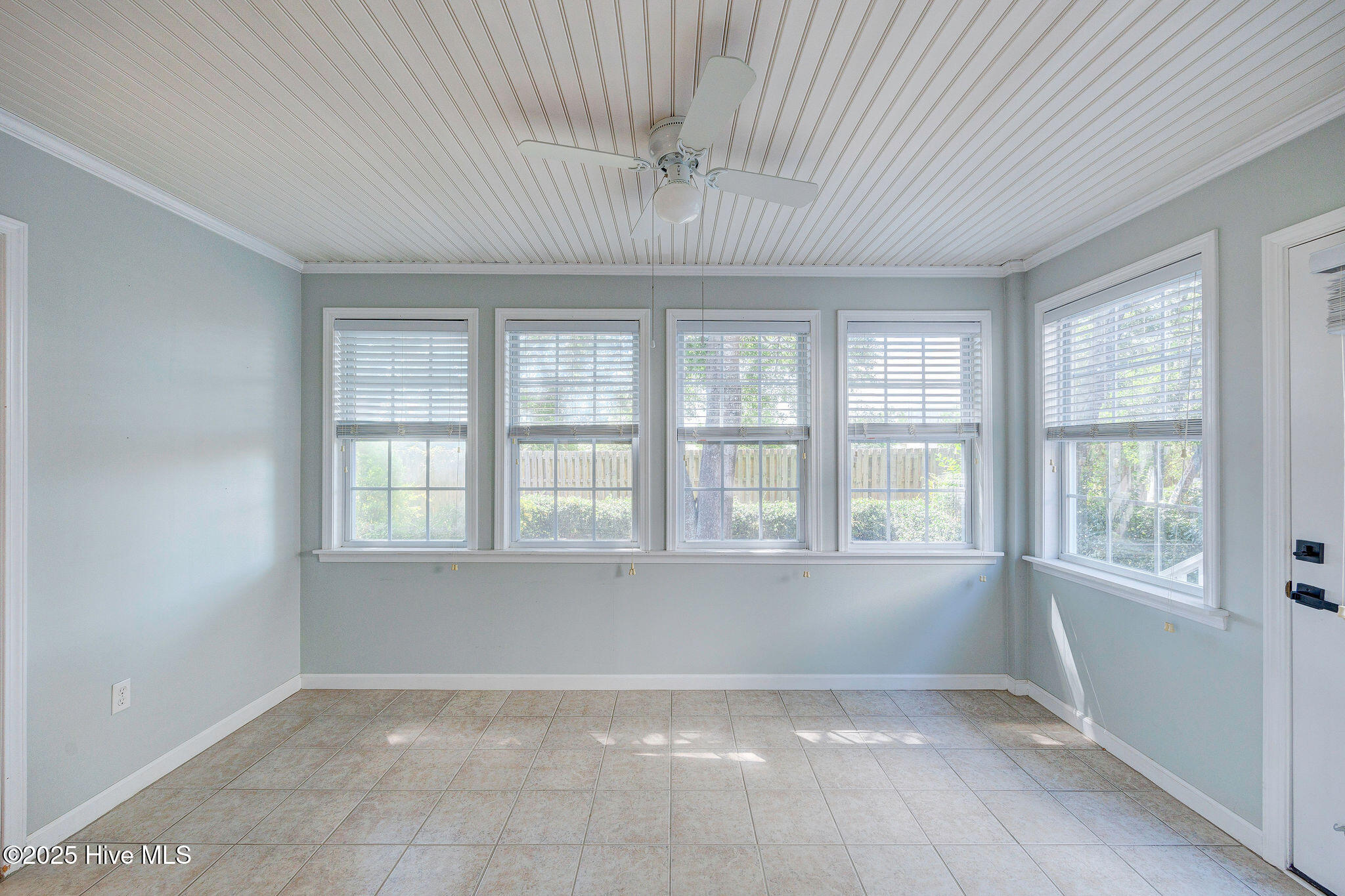 100531584 | Photo 21