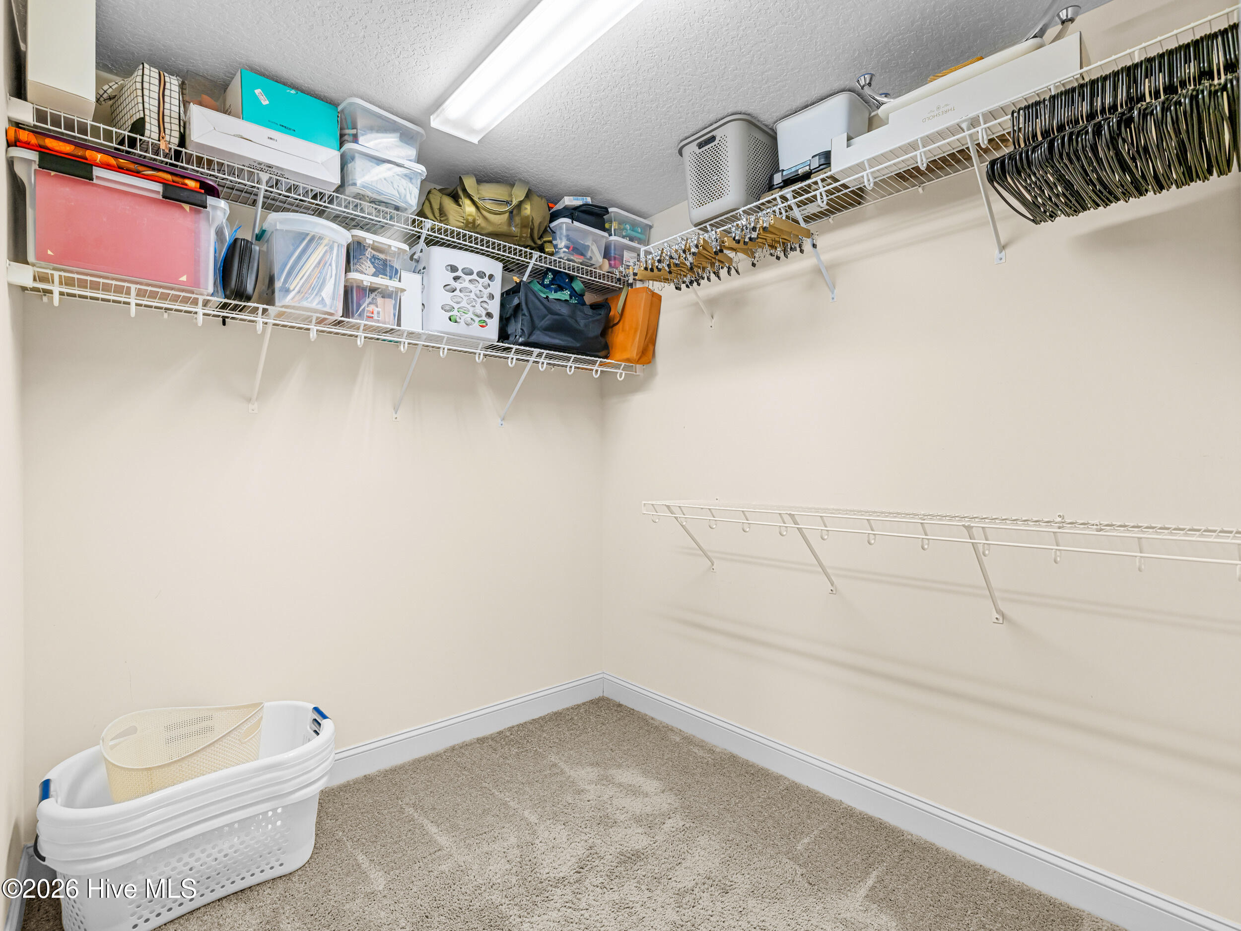 100567423 | Photo 38