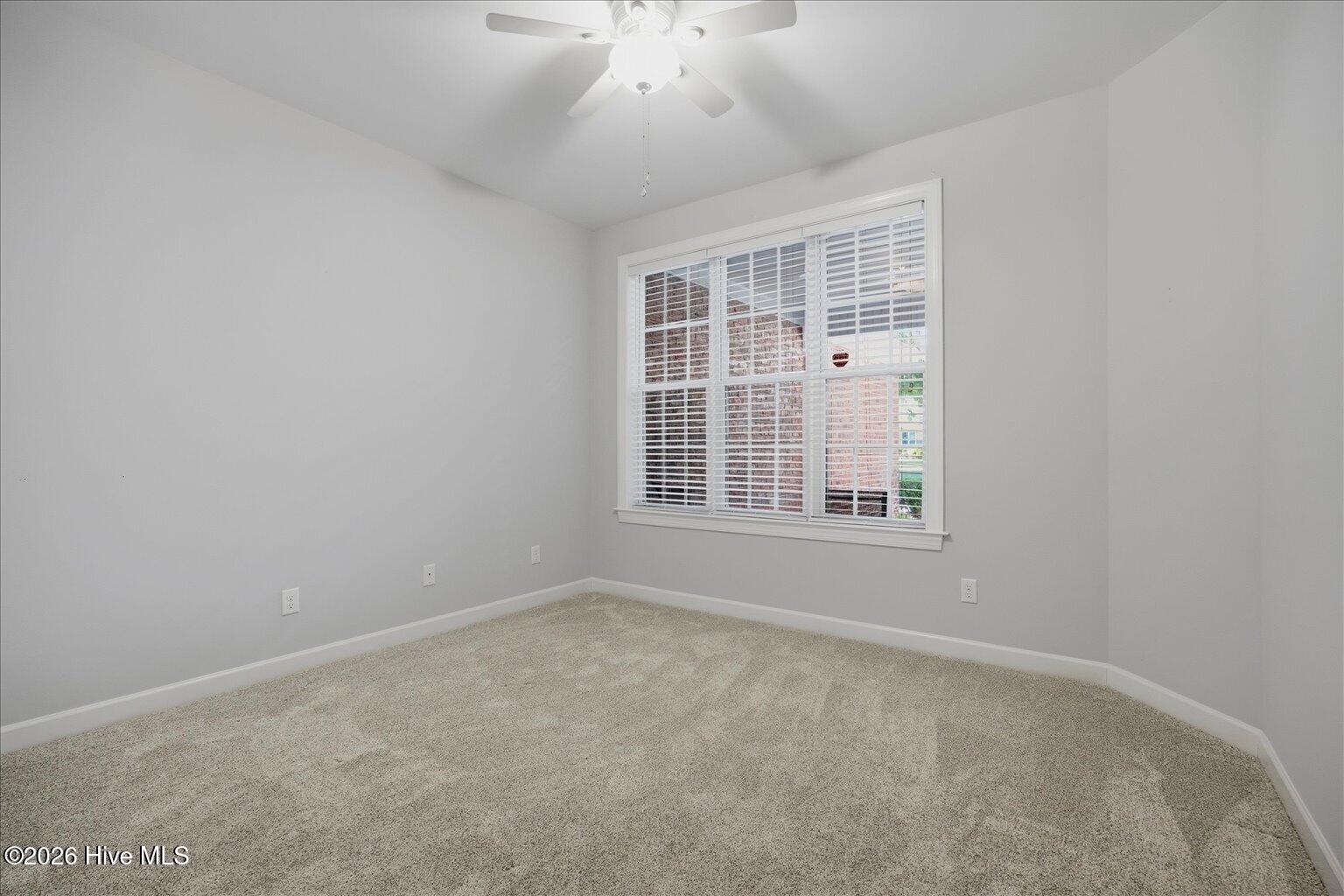 100568811 | Photo 30