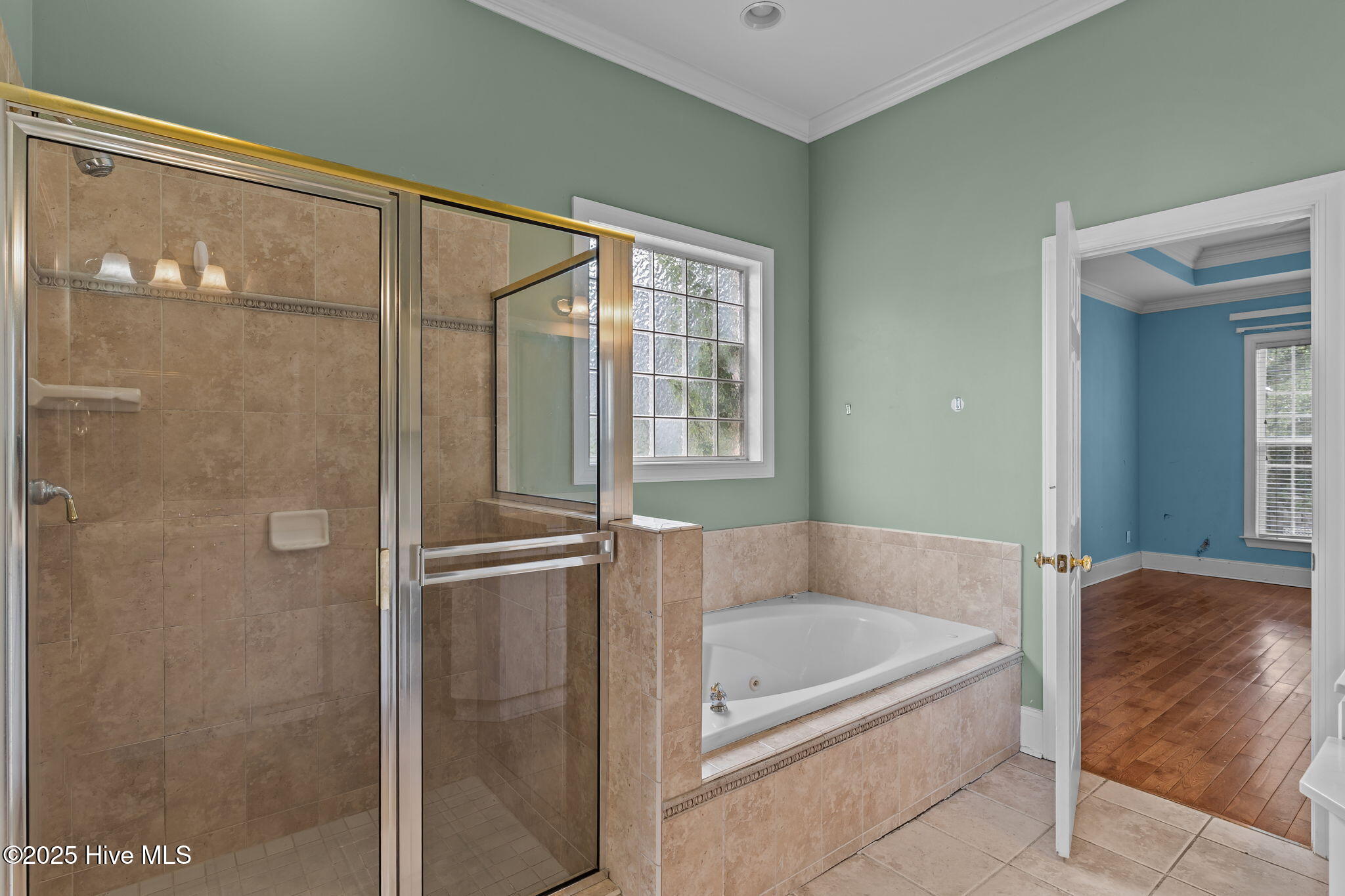 100538095 | Photo 18