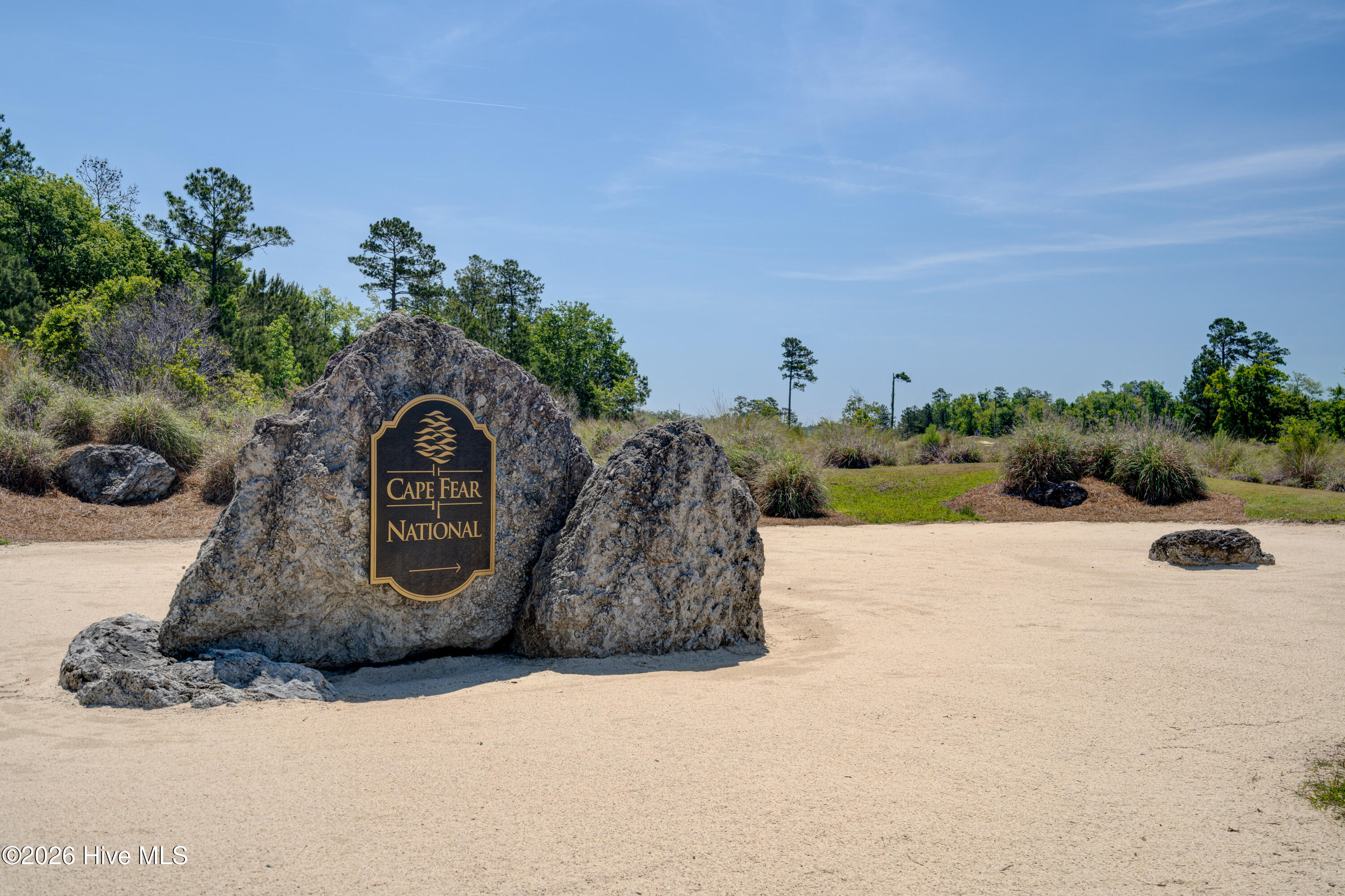 100559024 | Photo 49