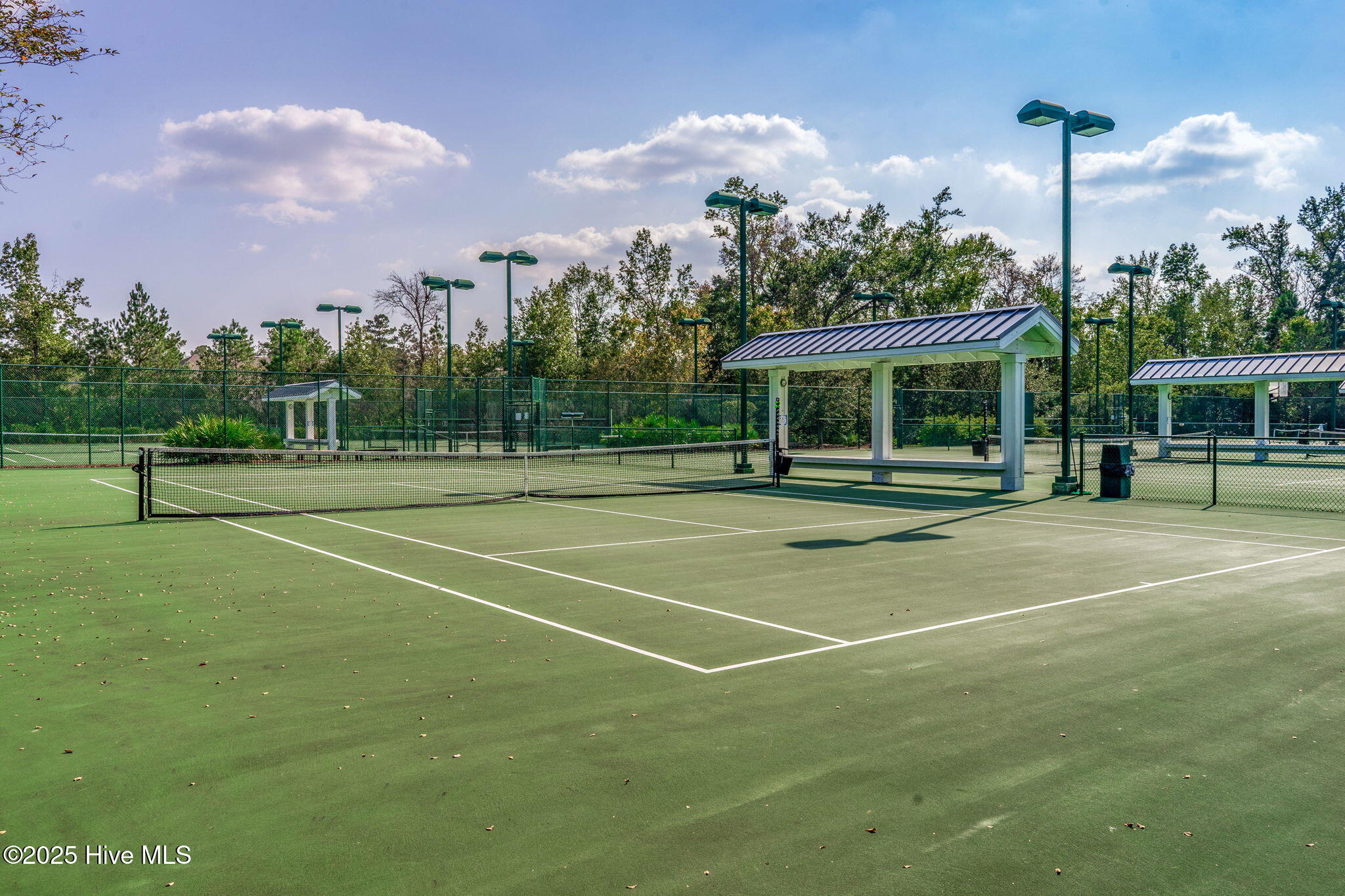 100536953 | Photo 85